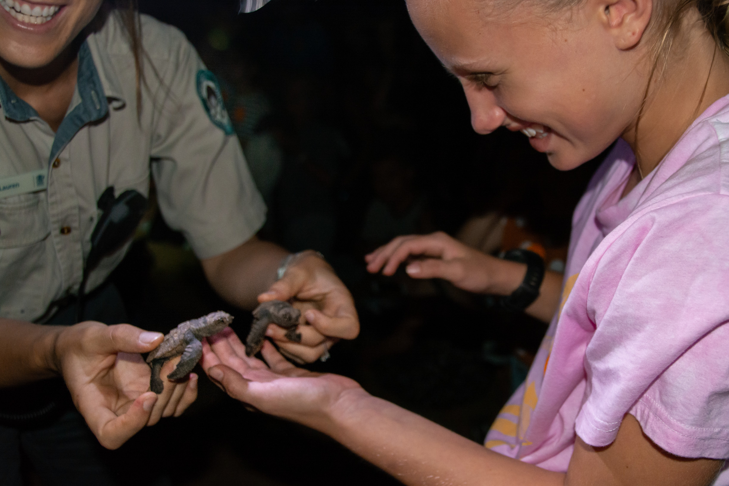 Mon Repos Turtle Centre | volunteer holiday Queensland Mon Repos Turtle Centre | volunteer holiday Queensland