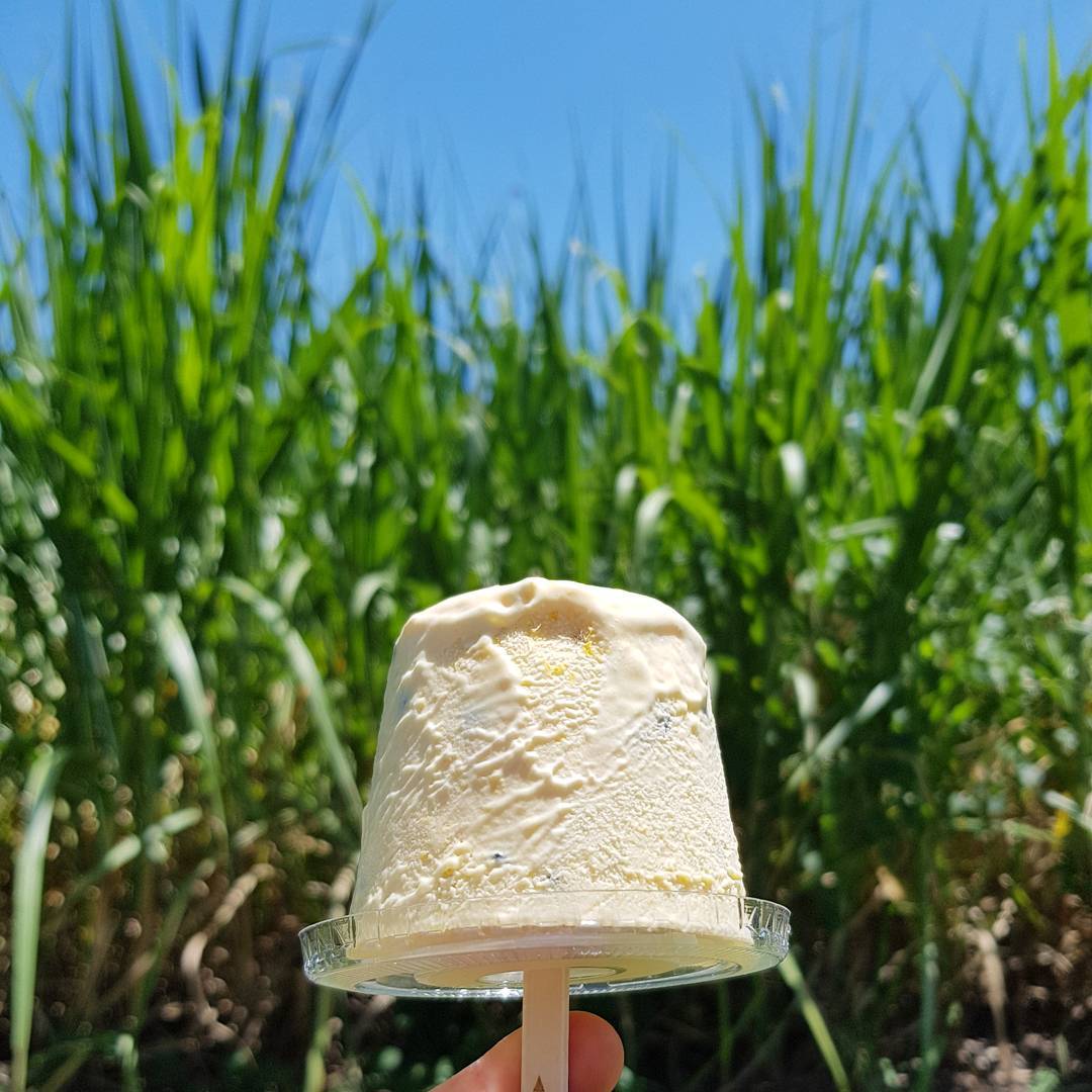 Mamino Gourmet Ice Cream, Childers Mamino Gourmet Ice Cream, Childers