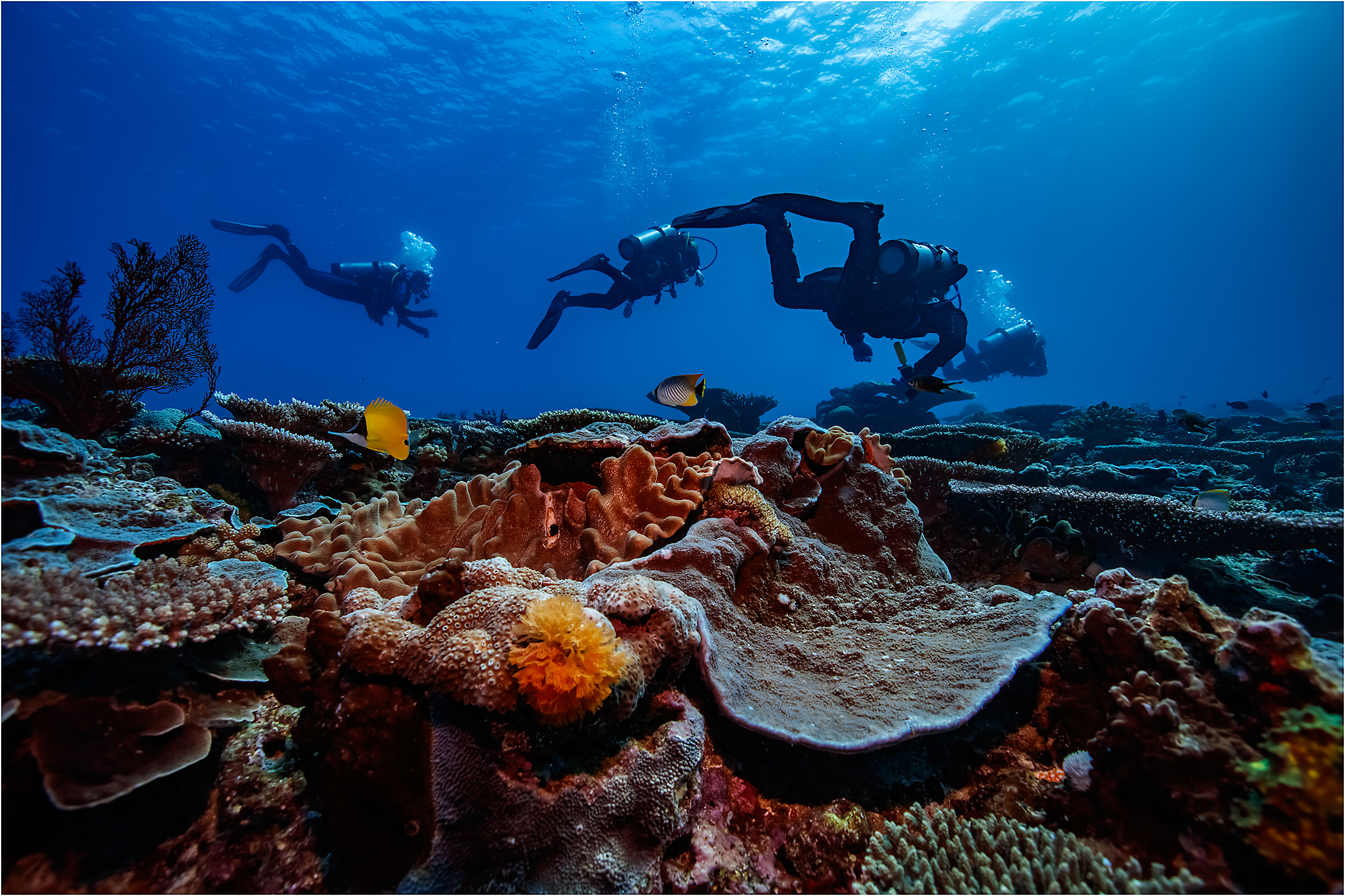 レディ・マスグレイブ島に新しい3階建てポンツーンが誕生