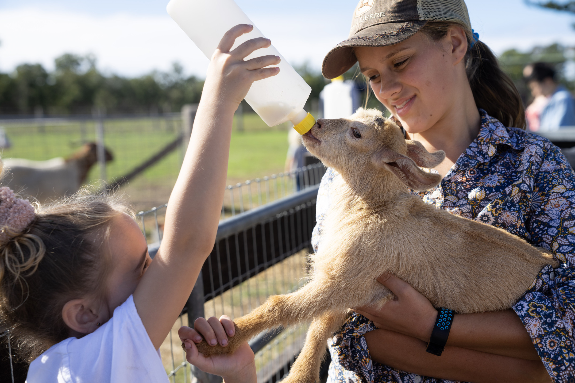 Girl feeding baby goat at Splitters Farm | things to do school holidays Bundaberg Girl feeding baby goat at Splitters Farm | things to do school holidays Bundaberg