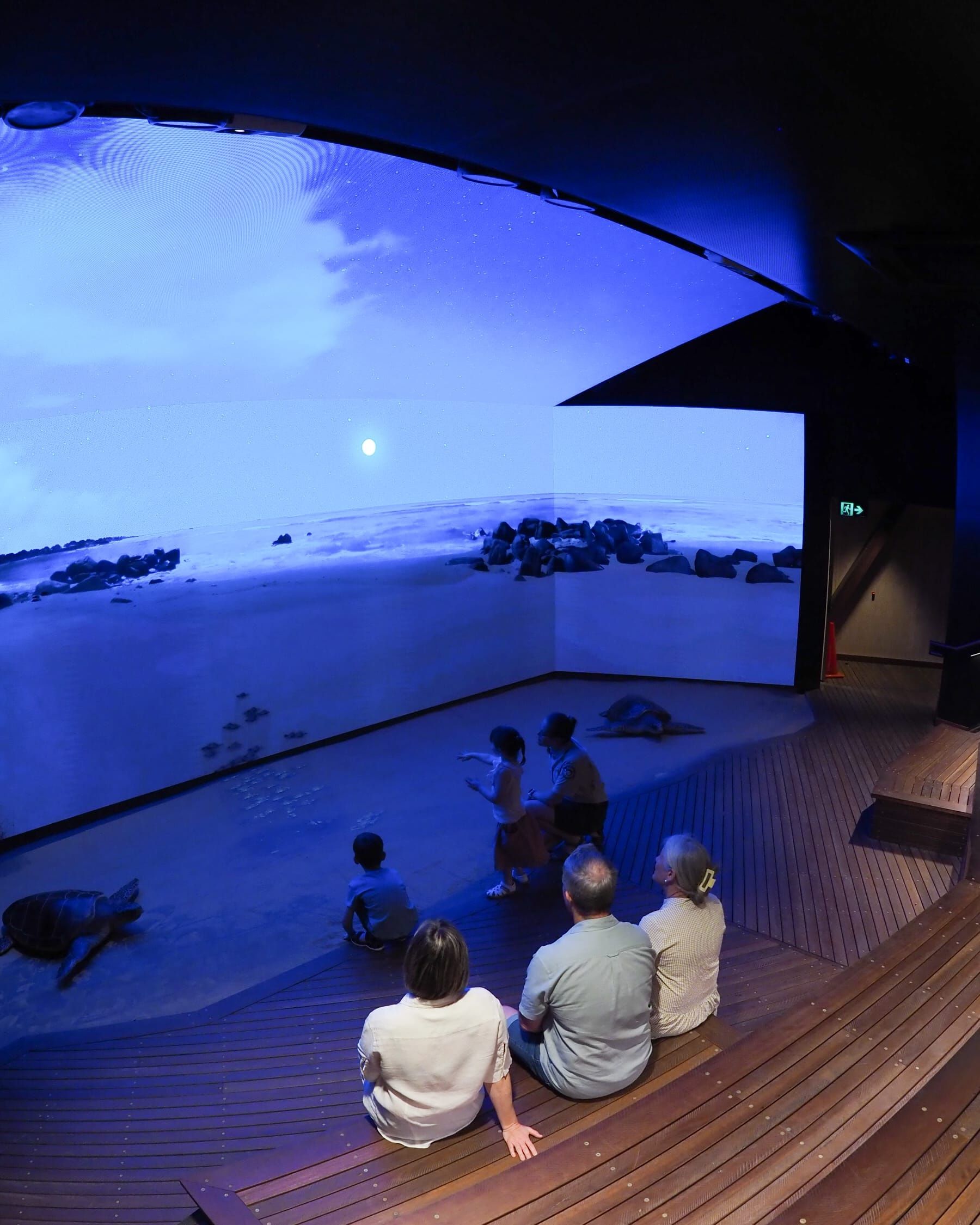 Guests exploring Mon Repos Turtle Centre, a resource dedicated to marine turtle research, protection and education Guests exploring Mon Repos Turtle Centre, a resource dedicated to marine turtle research, protection and education