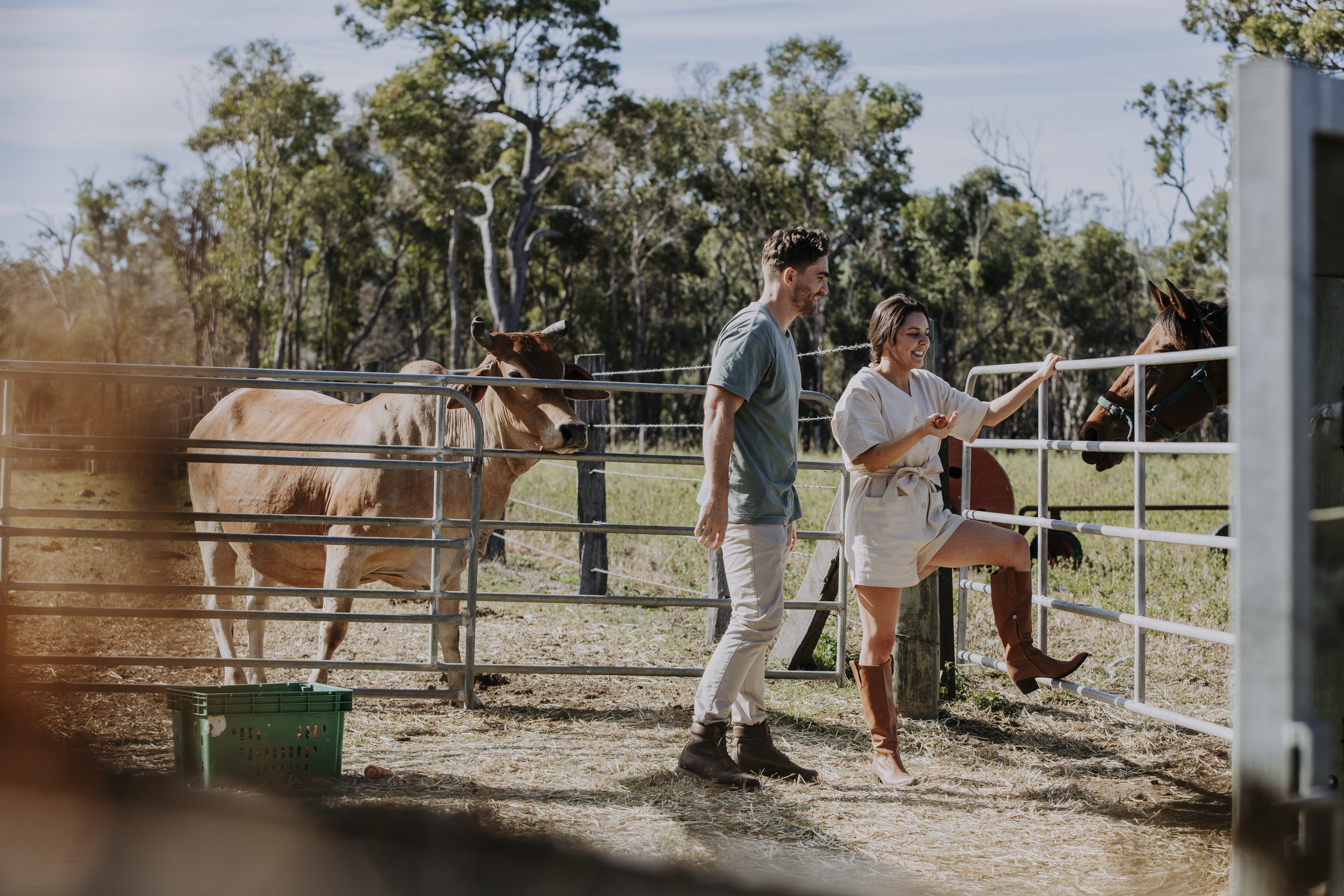 Couple meet horse and cattle in a paddock at a farmstay