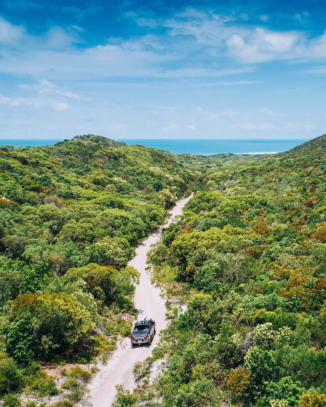 4WD beach tracks | Byfield National Park