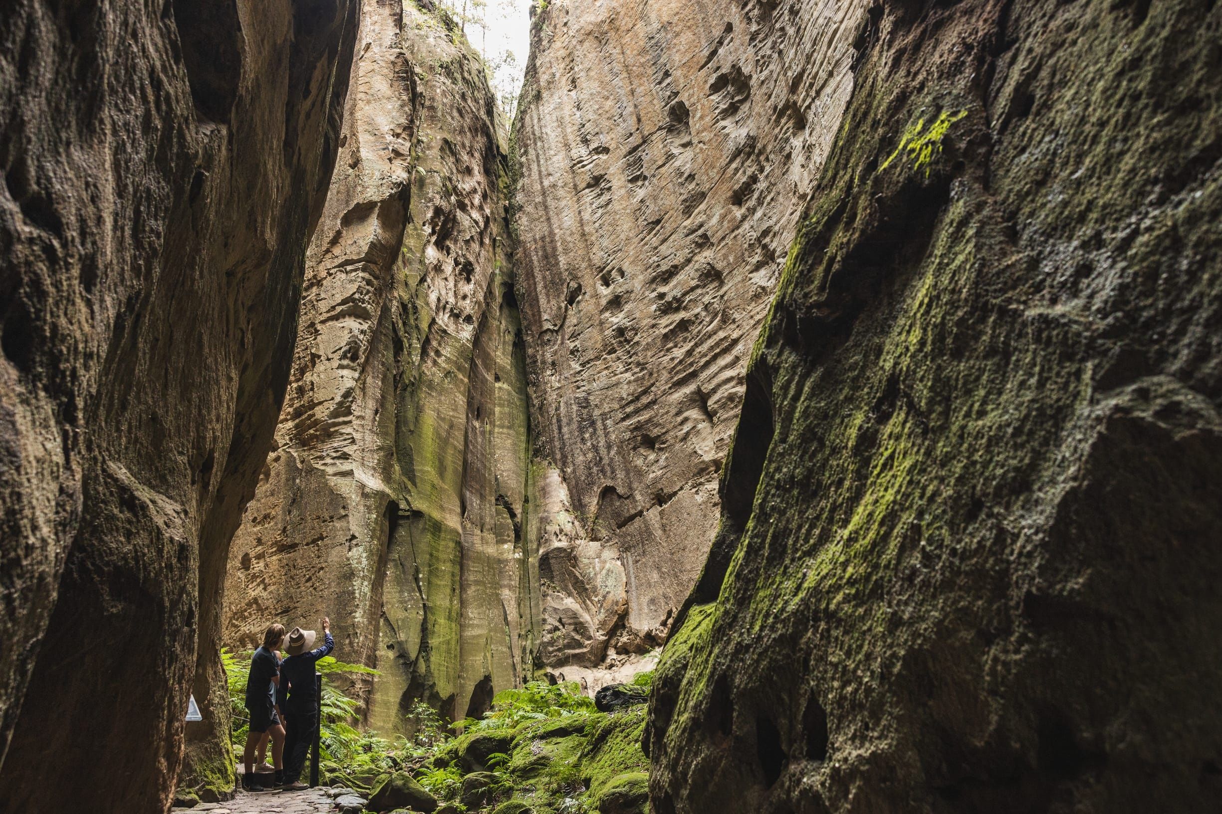 Lower Gorge Explorer guided tour with Carnarvon Gorge Eco Tours 
