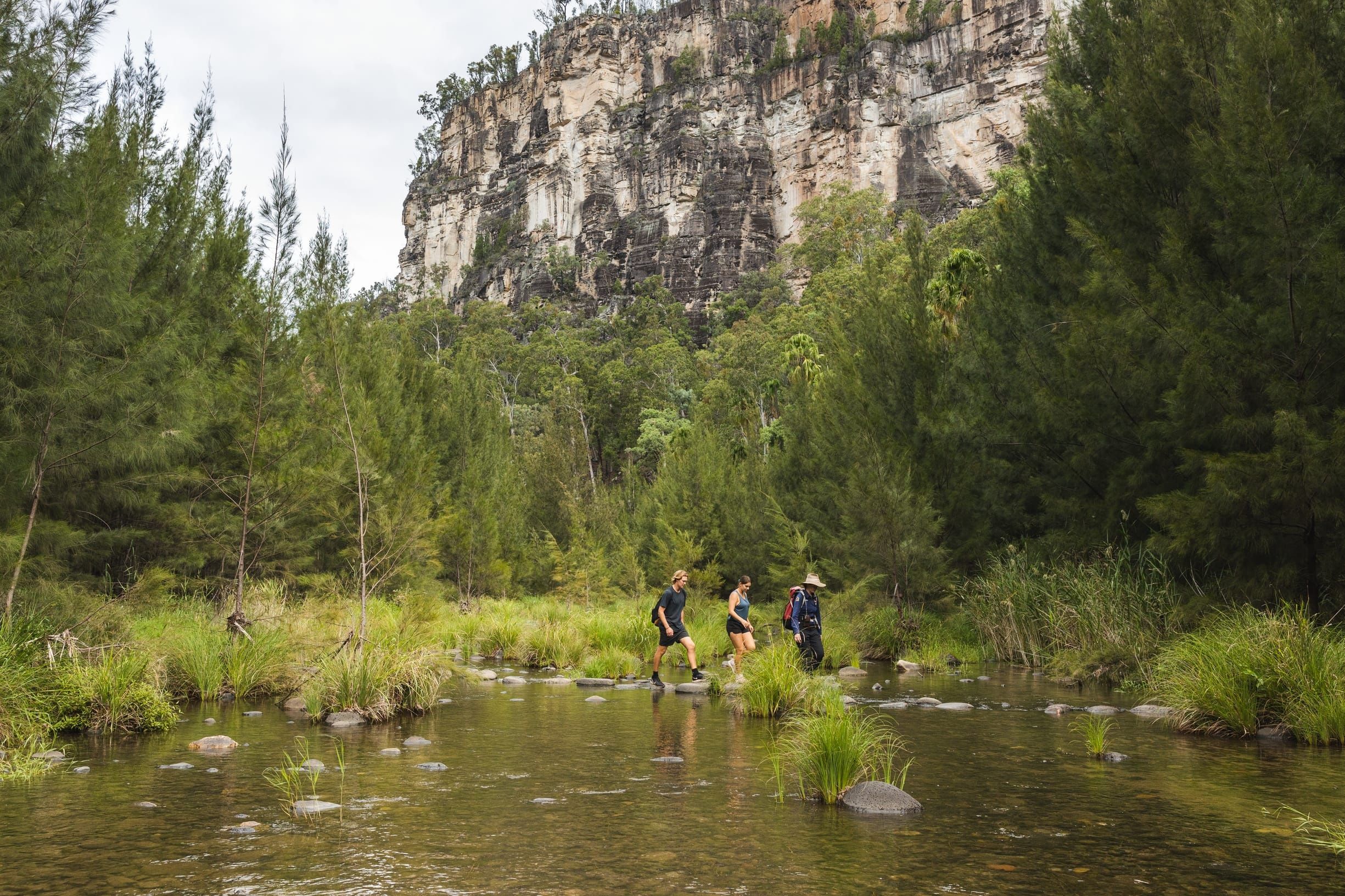 Lower Gorge Explorer guided tour with Carnarvon Gorge Eco Tours | big sky country