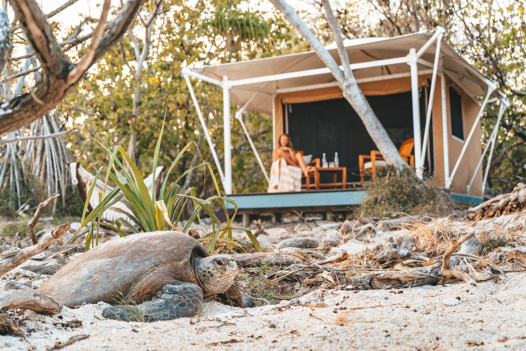 Wilson Island | Epic Queensland ideas for your big-ticket holiday Wilson Island | Epic Queensland ideas for your big-ticket holiday
