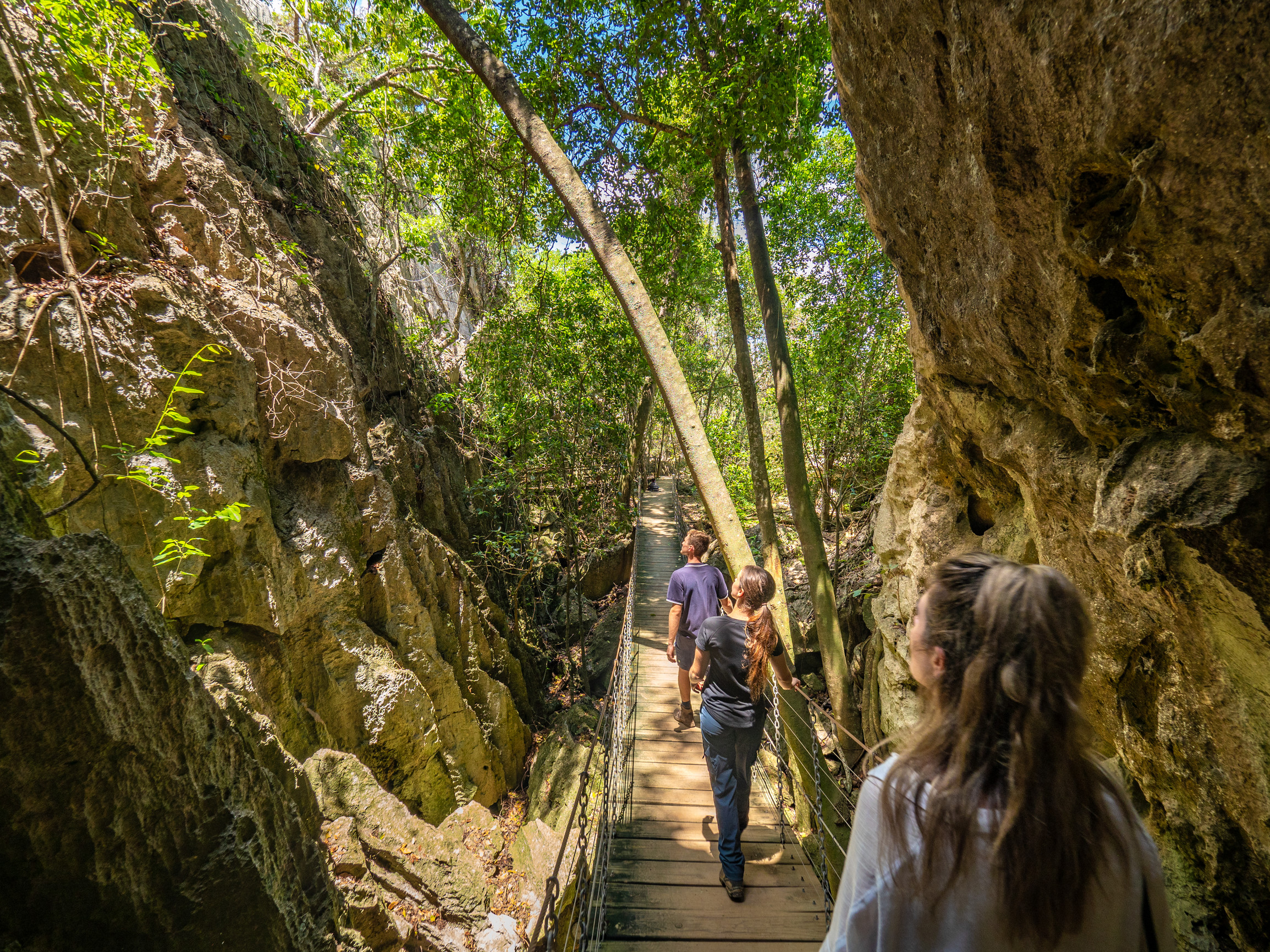Suspension Bridge at Capricorn Caves | road trip sandstone wilderness Suspension Bridge at Capricorn Caves | road trip sandstone wilderness