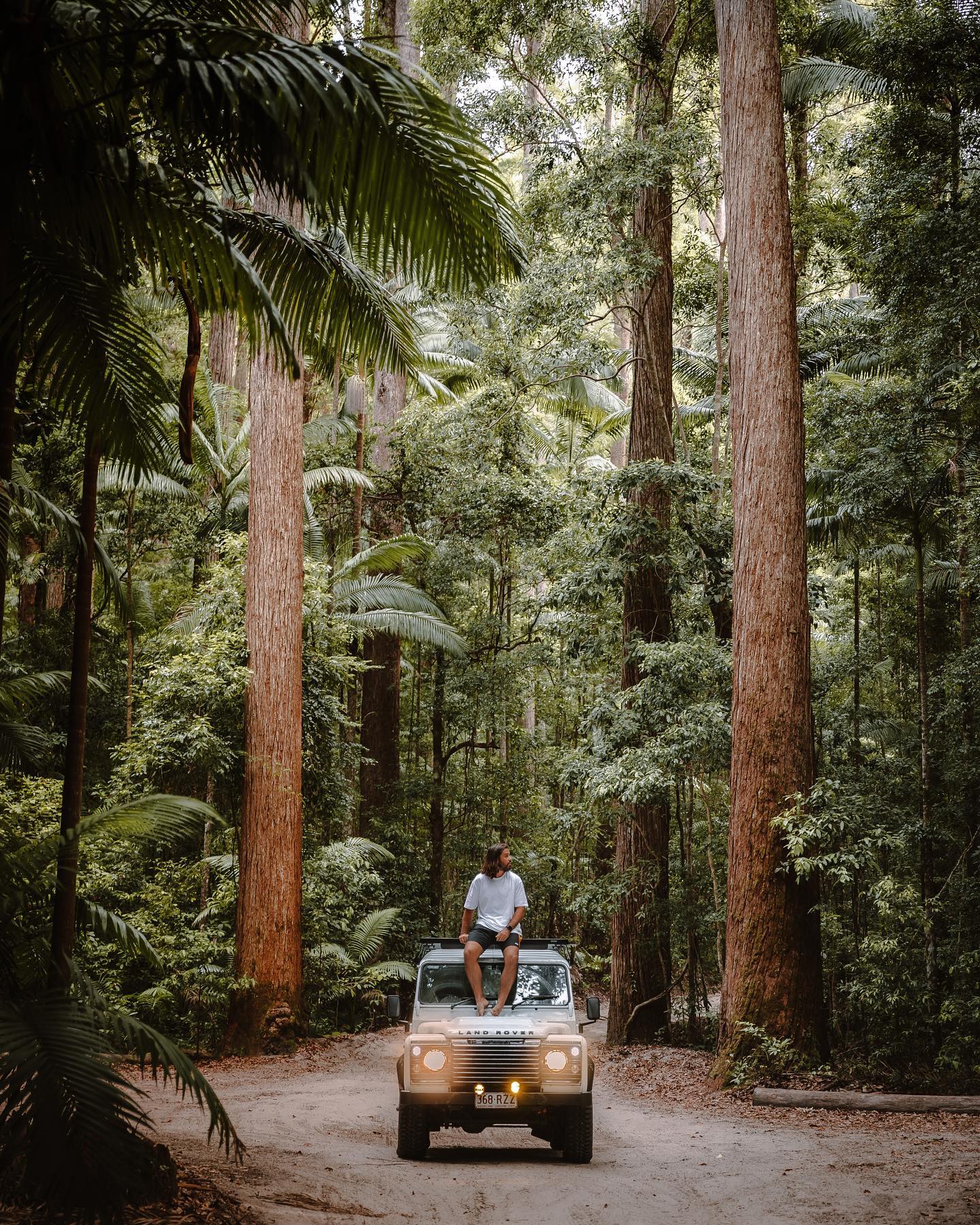 Pile Valley | Why visit K'gari (formerly Fraser Island) Pile Valley | Why visit K'gari (formerly Fraser Island)