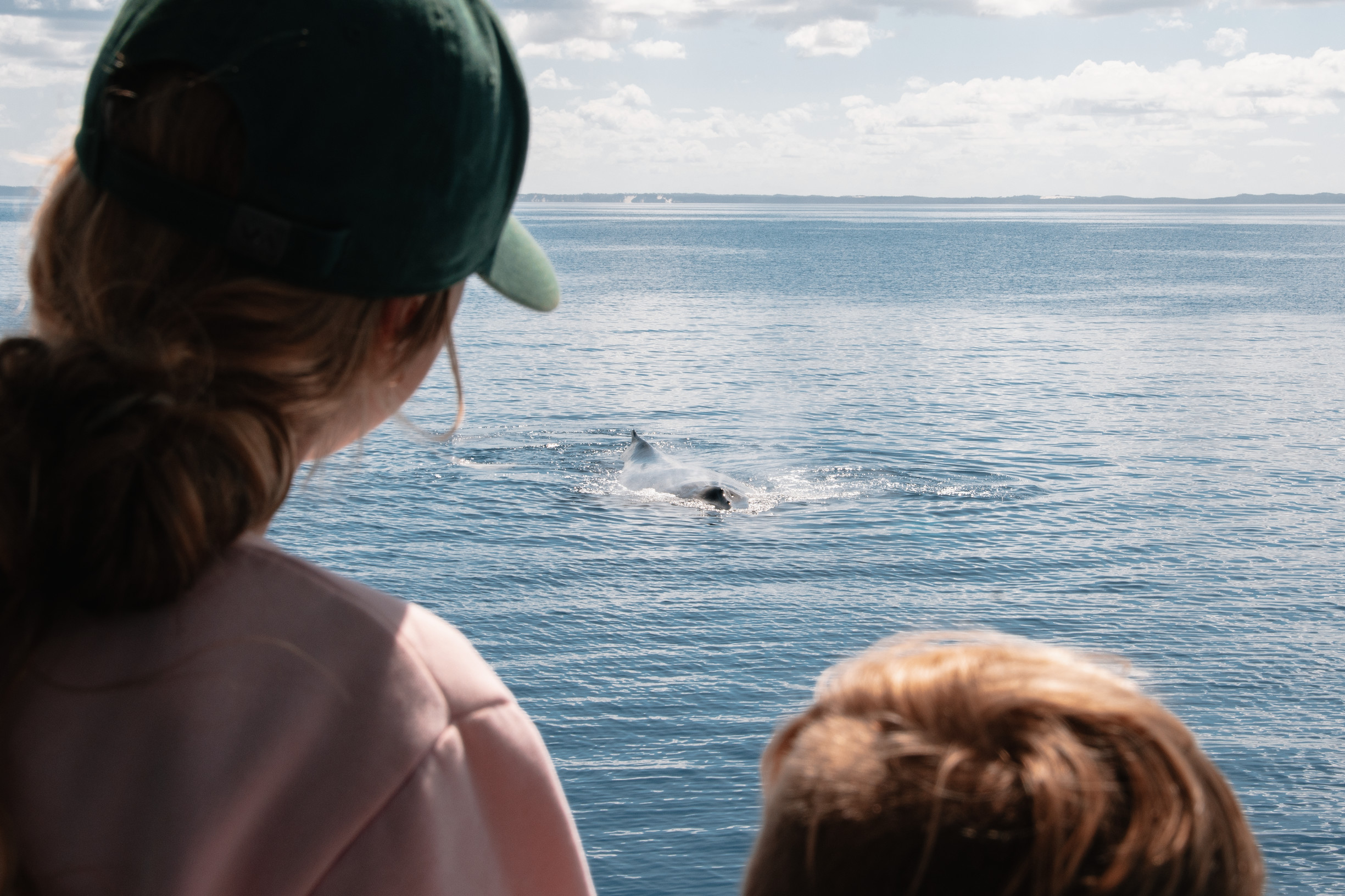 Family whale watching Hervey Bay Whale Watch | Best things to do for teenagers Queensland