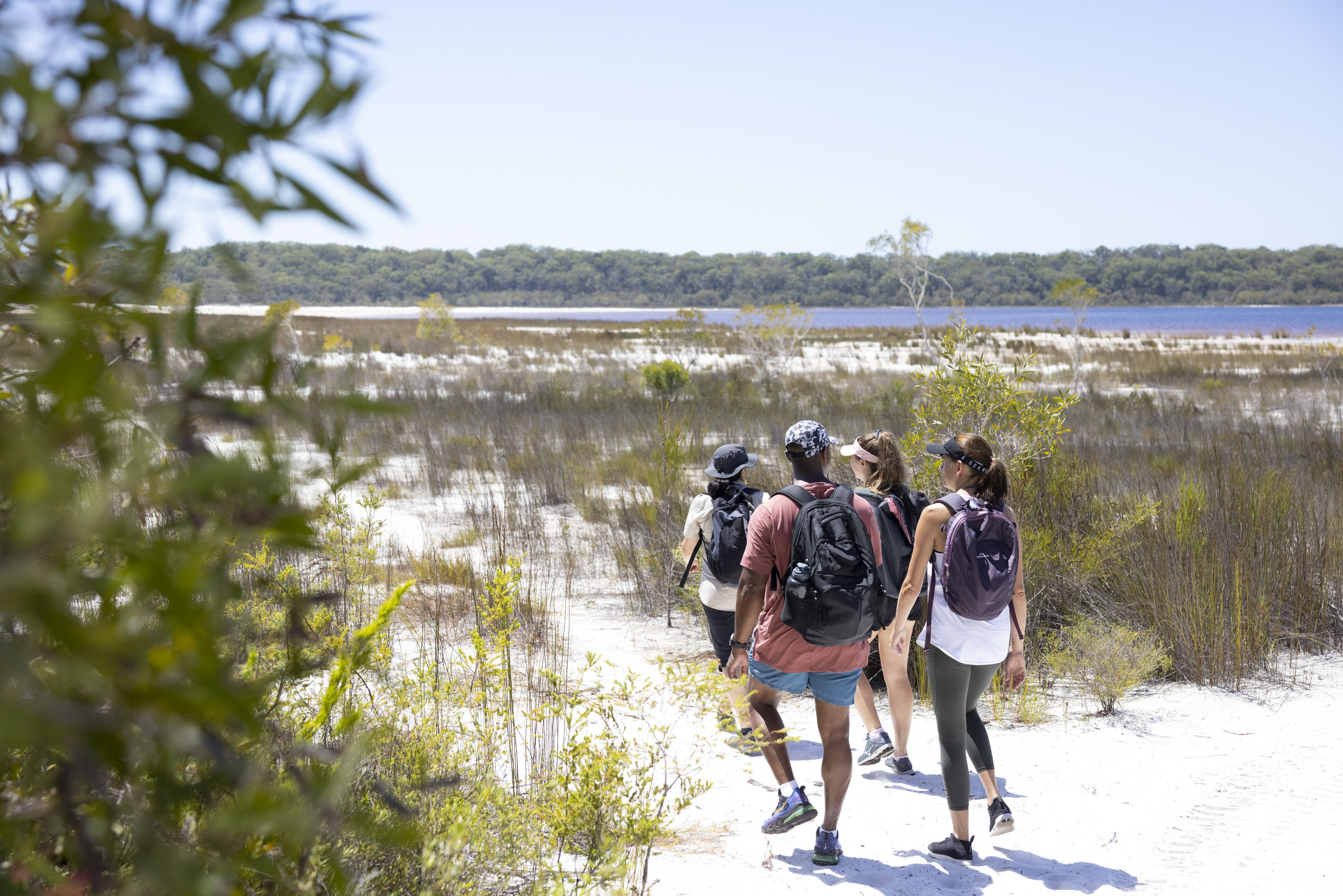 Hikers with backpackers walking towards a beach on a guided tour