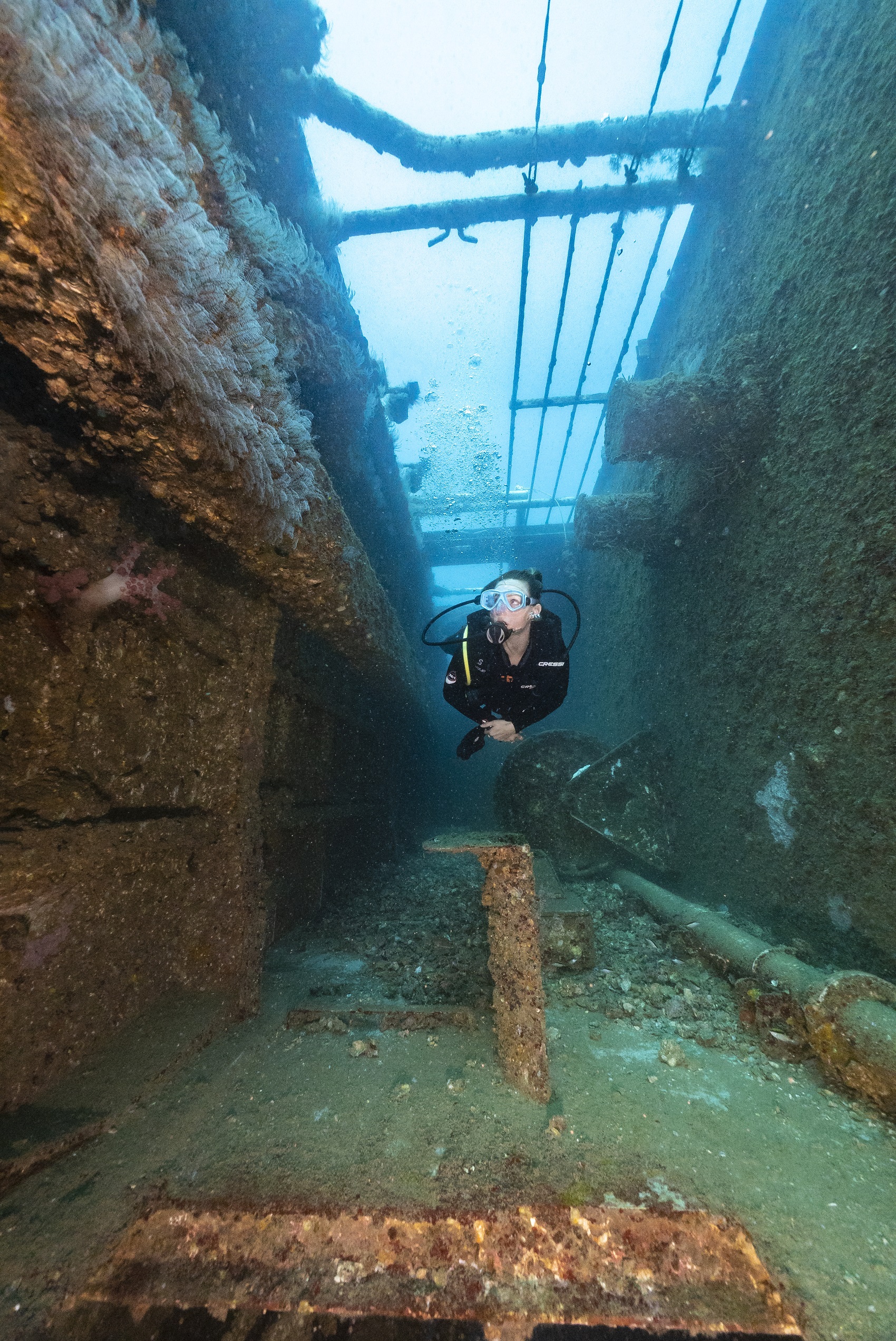 Scuba diver swims through the hull of a shipwreck covered in coral and fish Scuba diver swims through the hull of a shipwreck covered in coral and fish
