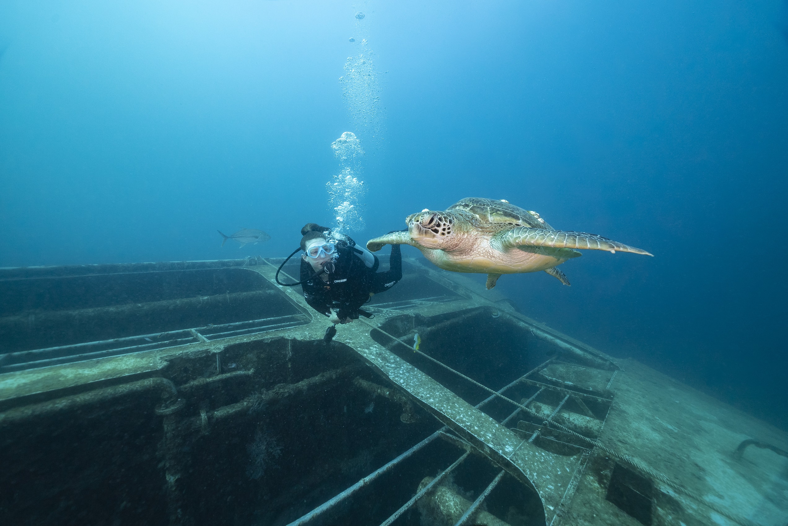 Ex-HMAS Tobruk Dive Tour with Hervey Bay Diver Centre | dive ex-HMAS Tobruk