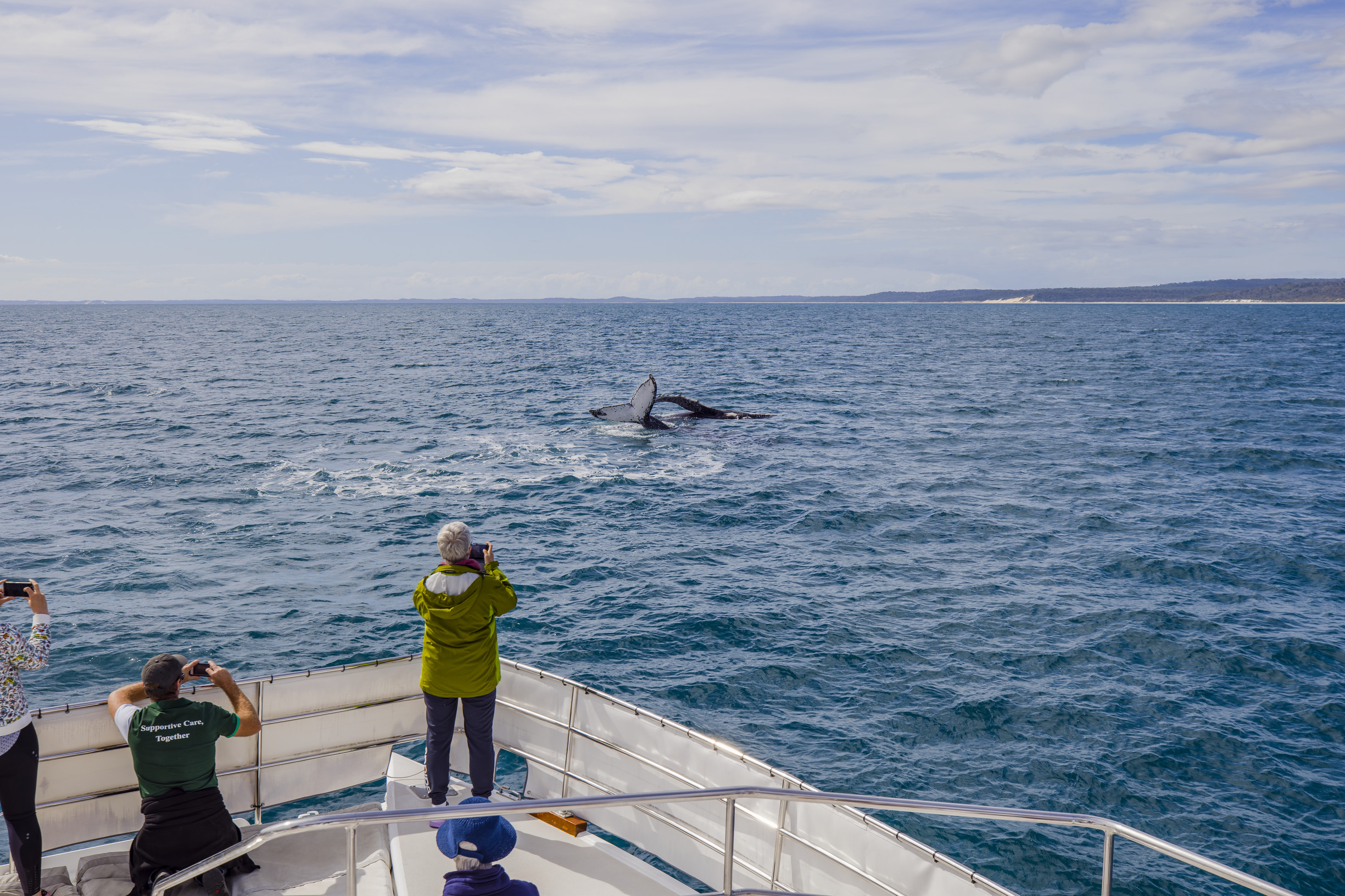 Photographer stands at the bow of a whale watching boat as two humpback whales breach nearby