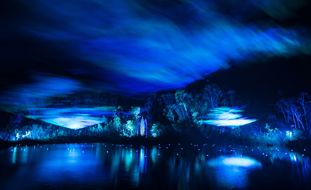 Blue light display cast over natural wetlands Blue light display cast over natural wetlands