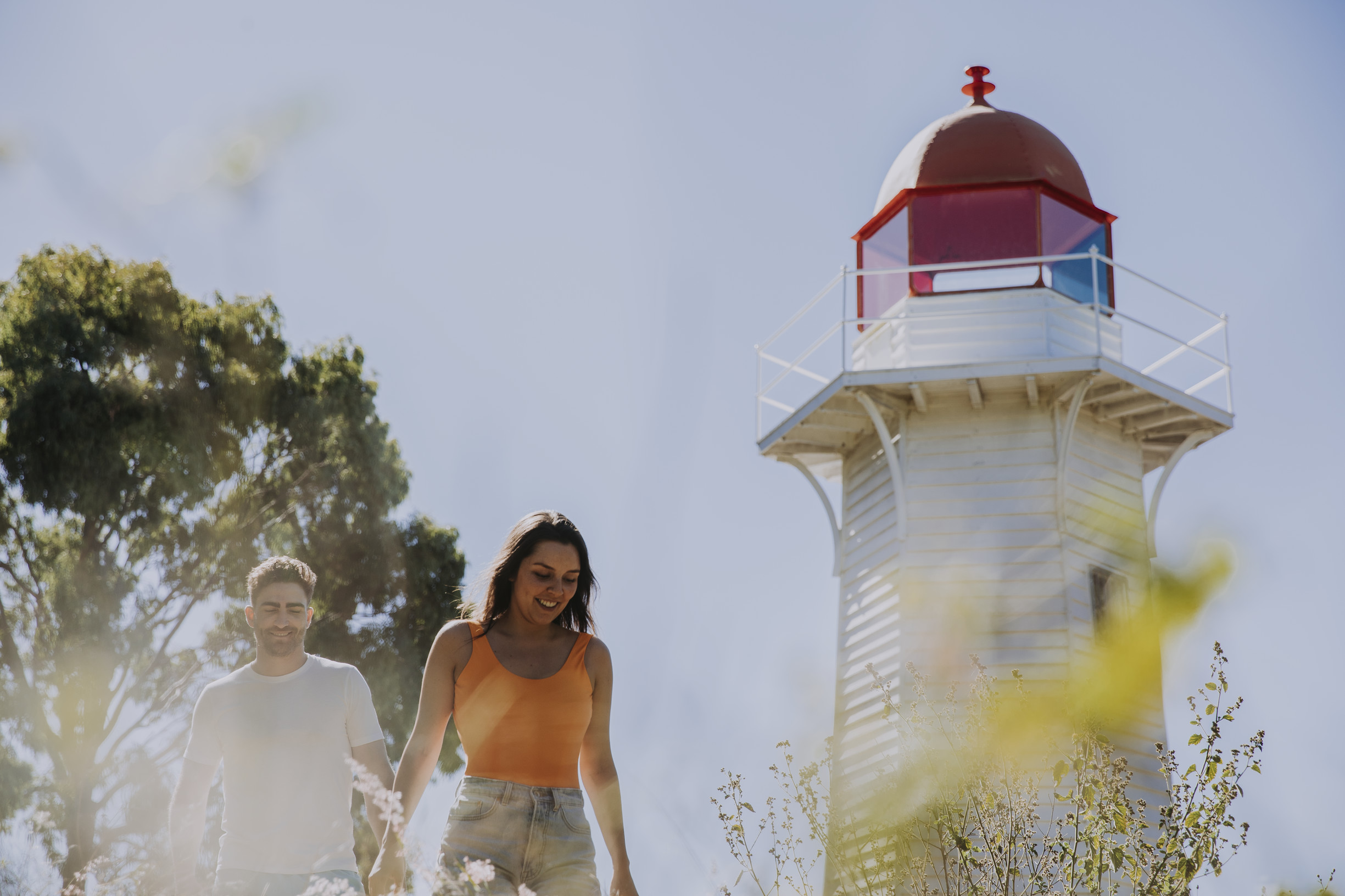 Turtle Discovery Tour Eco Marine Tours | Fraser Coast travel planner Turtle Discovery Tour Eco Marine Tours | Fraser Coast travel planner
