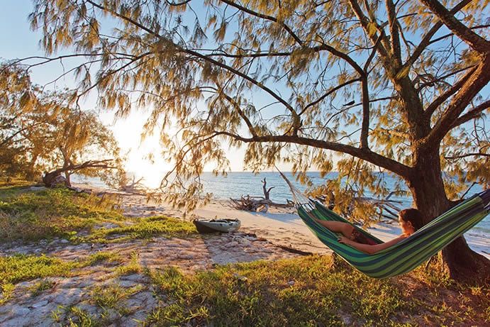Lady Musgrave Island Camping Lady Musgrave Island Camping