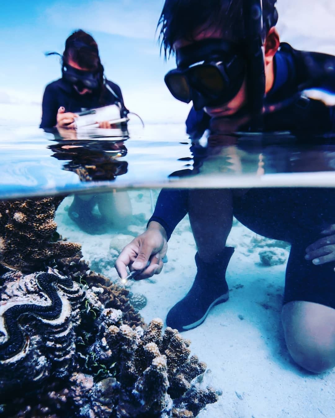 Heron Island Research Station | how to travel sustainably Queensland Heron Island Research Station | how to travel sustainably Queensland