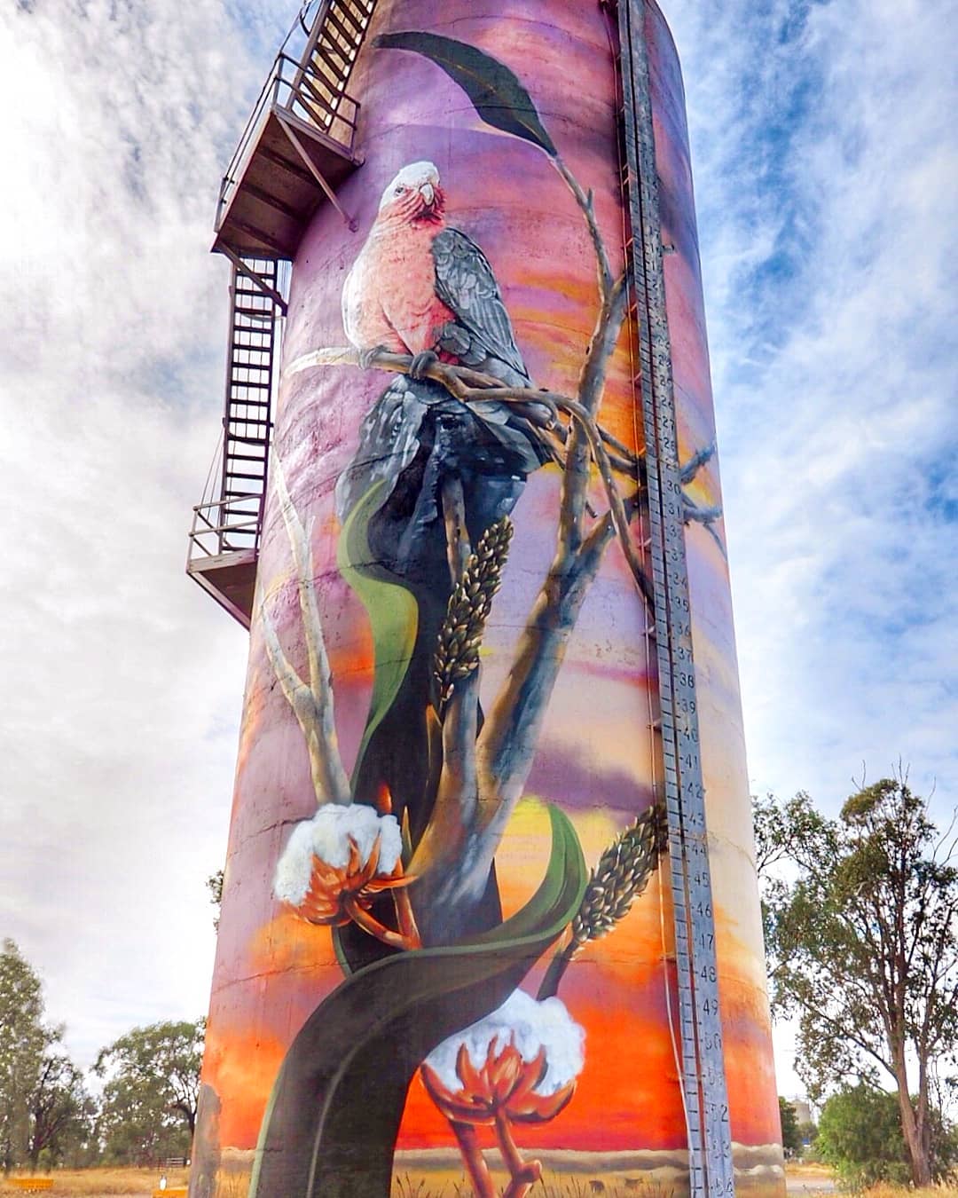 Moura Water Tower Mural | silo art Queensland Moura Water Tower Mural | silo art Queensland