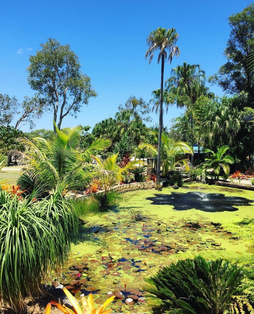 1770 Getaway Cafe | long weekend in Agnes Water and 1770 1770 Getaway Cafe | long weekend in Agnes Water and 1770