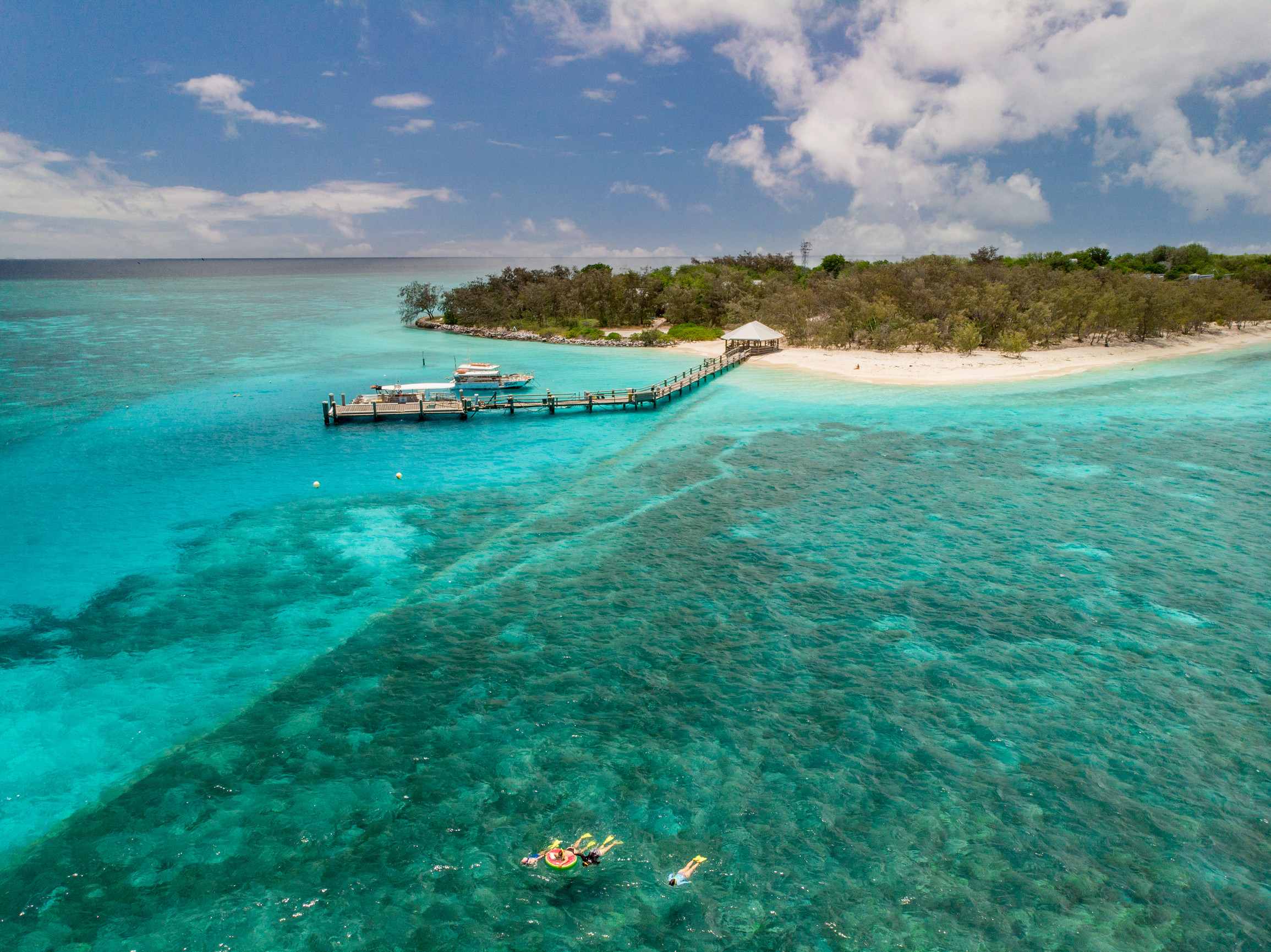Snorkelling fringing reef at Heron Island.