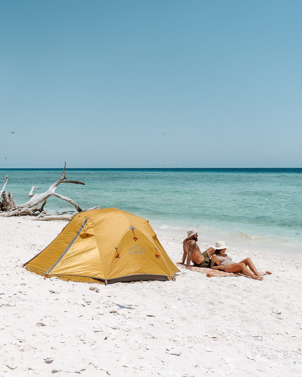 Lady Musgrave Island camping | Great Barrier Reef on a budget Lady Musgrave Island camping | Great Barrier Reef on a budget