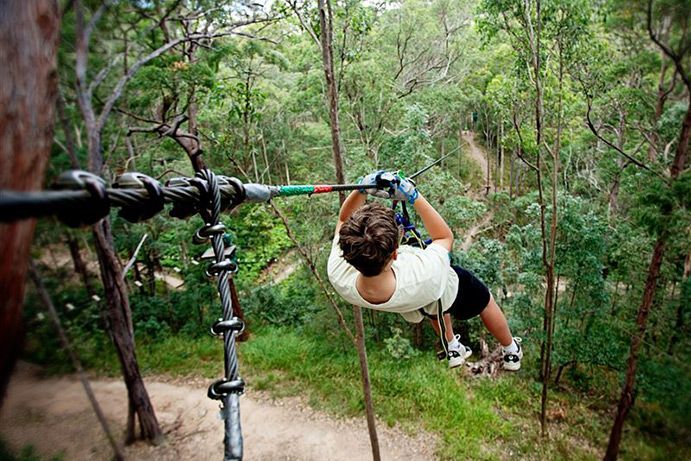 TreeTop Challenge Mount Tamborine TreeTop Challenge Mount Tamborine