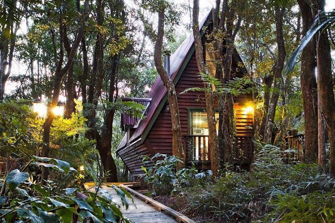 The Mouses House Rainforest Retreat | things to do the Gold Coast Hinterland