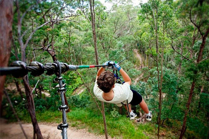 Thunderbird Park | Things to do Gold Coast Hinterland