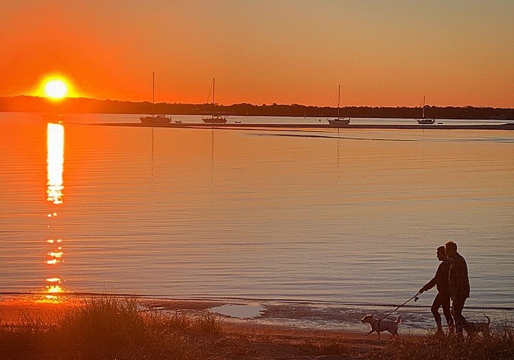 Biggera Waters Beach Gold Coast | Dog friendly beaches Gold Coast