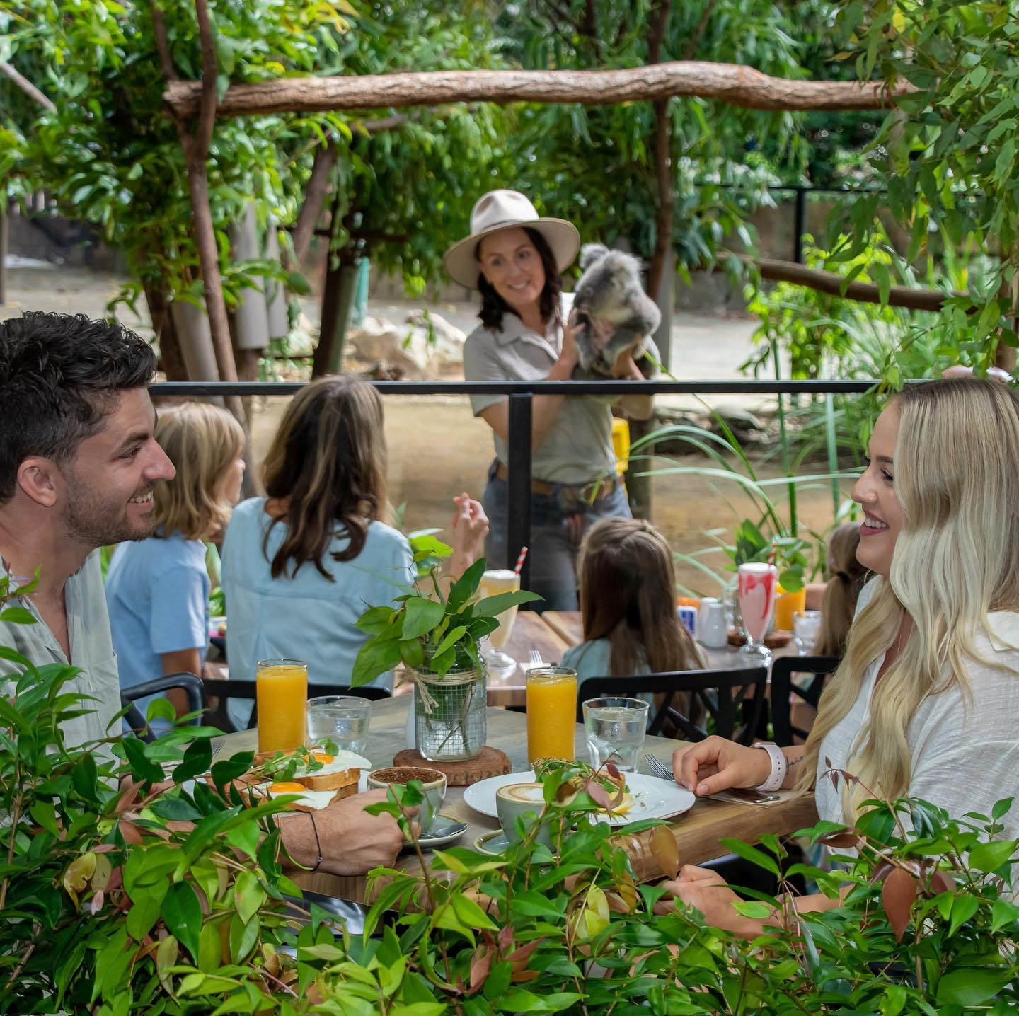 Currumbin Wildlife Sanctuary 