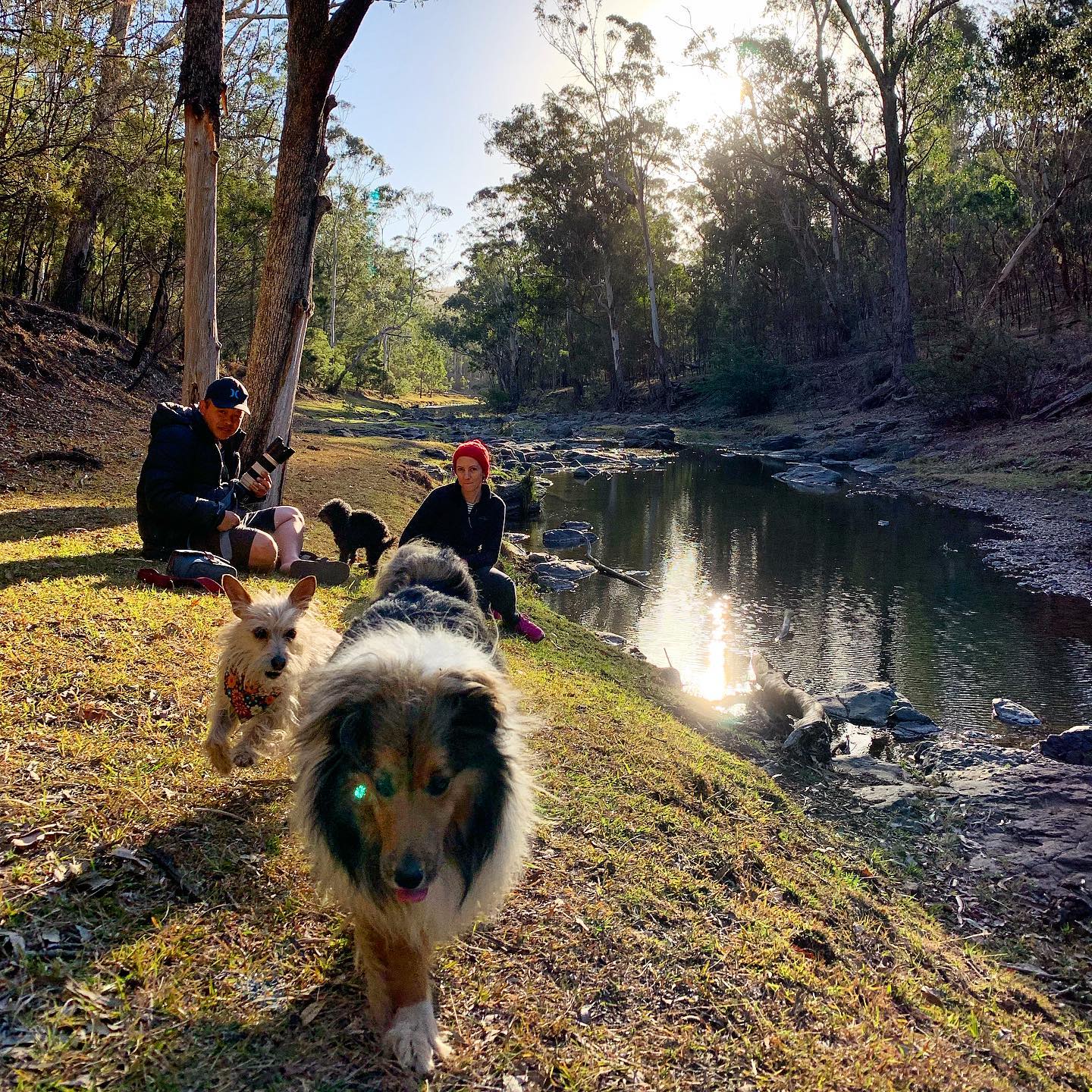 Gordon Country | pet-friendly campgrounds near the Gold Coast Gordon Country | pet-friendly campgrounds near the Gold Coast
