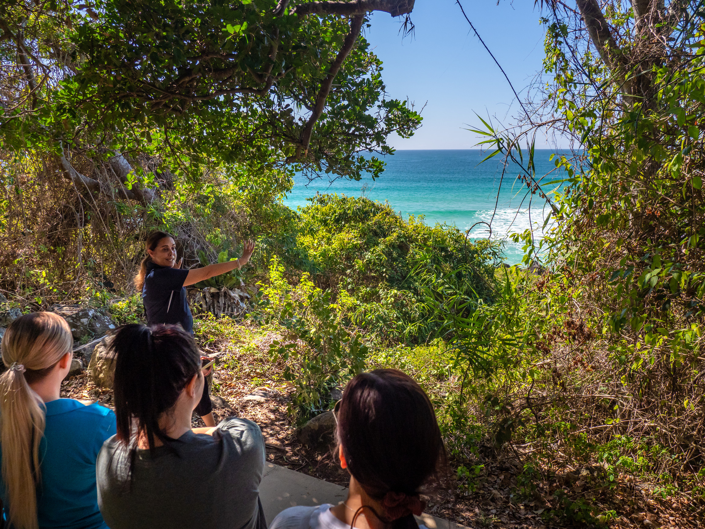 Jellurgal Aboriginal Cultural Centre Walkabout Tour | Jellurgal Gold Coast