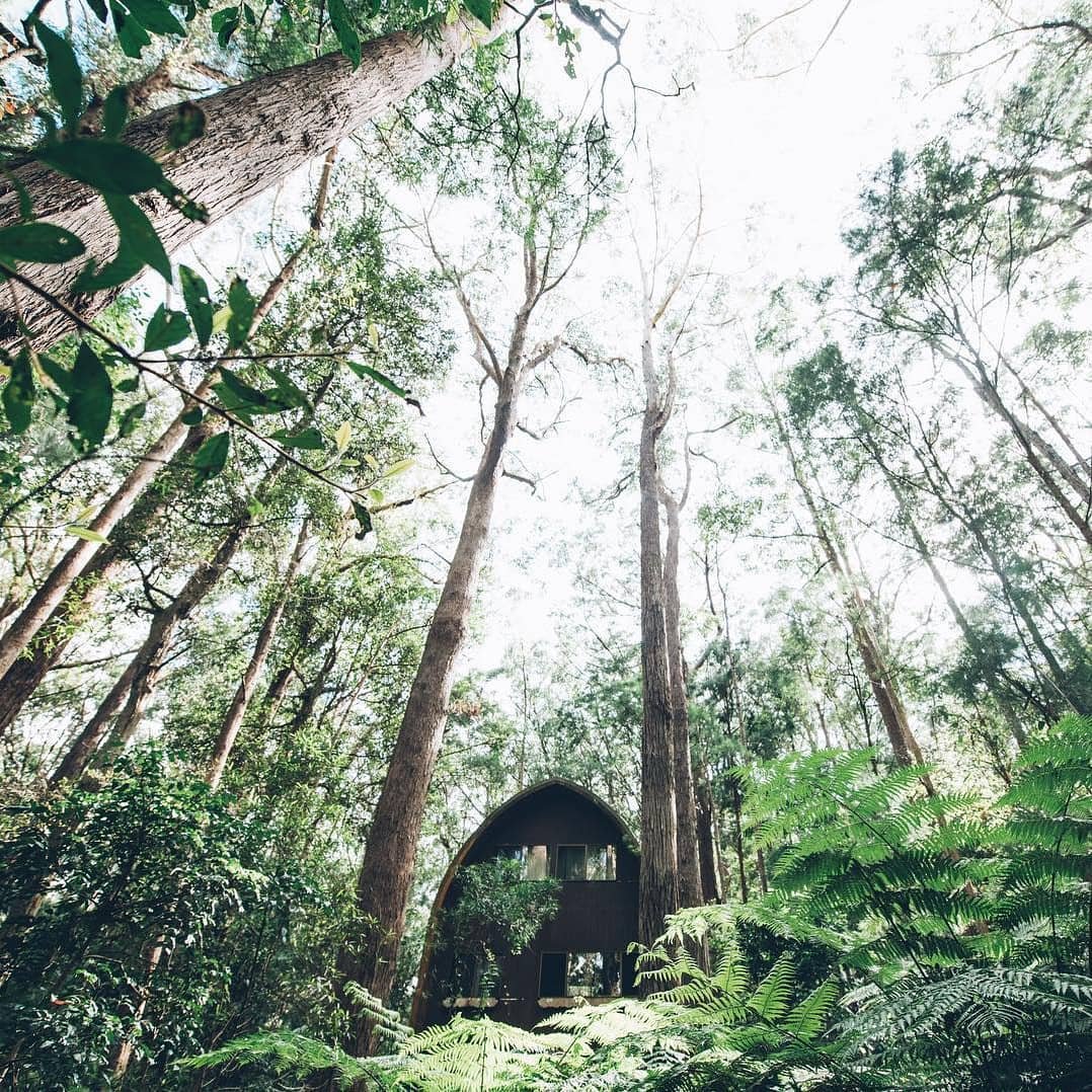 Mouses House Retreat Gold Coast Hinterland | Gold Coast Hinterland accommodation