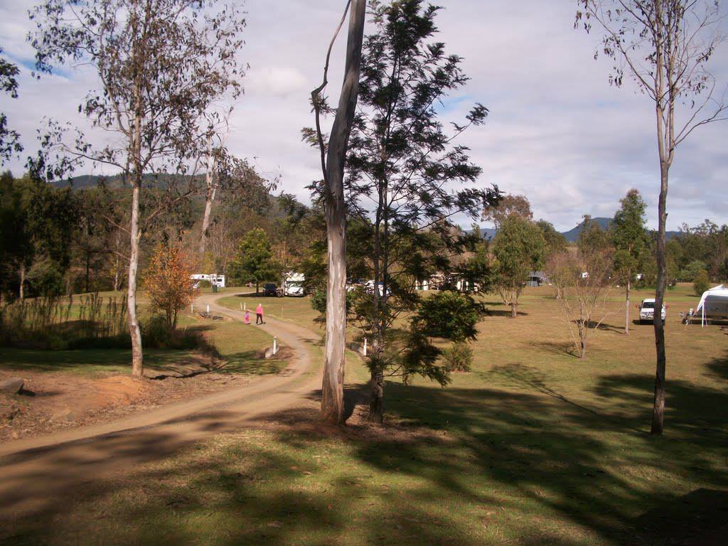 Sharp Park River Bend Country Bush Camping | pet-friendly campgrounds near the Gold Coast Sharp Park River Bend Country Bush Camping | pet-friendly campgrounds near the Gold Coast