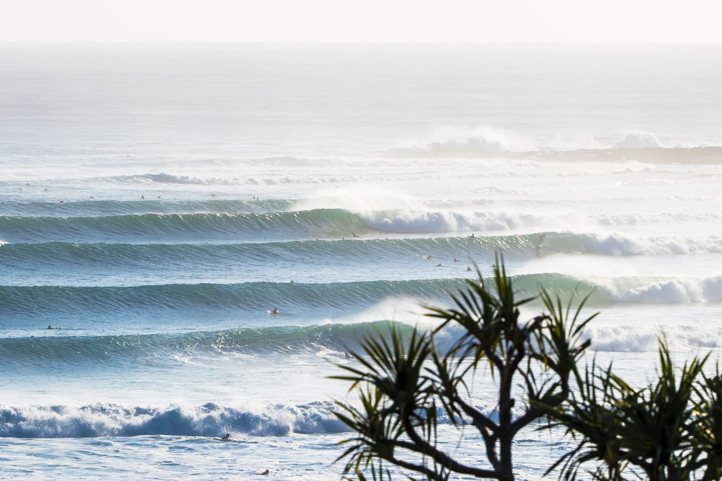 Gold Coast Pro World Surf League Guide