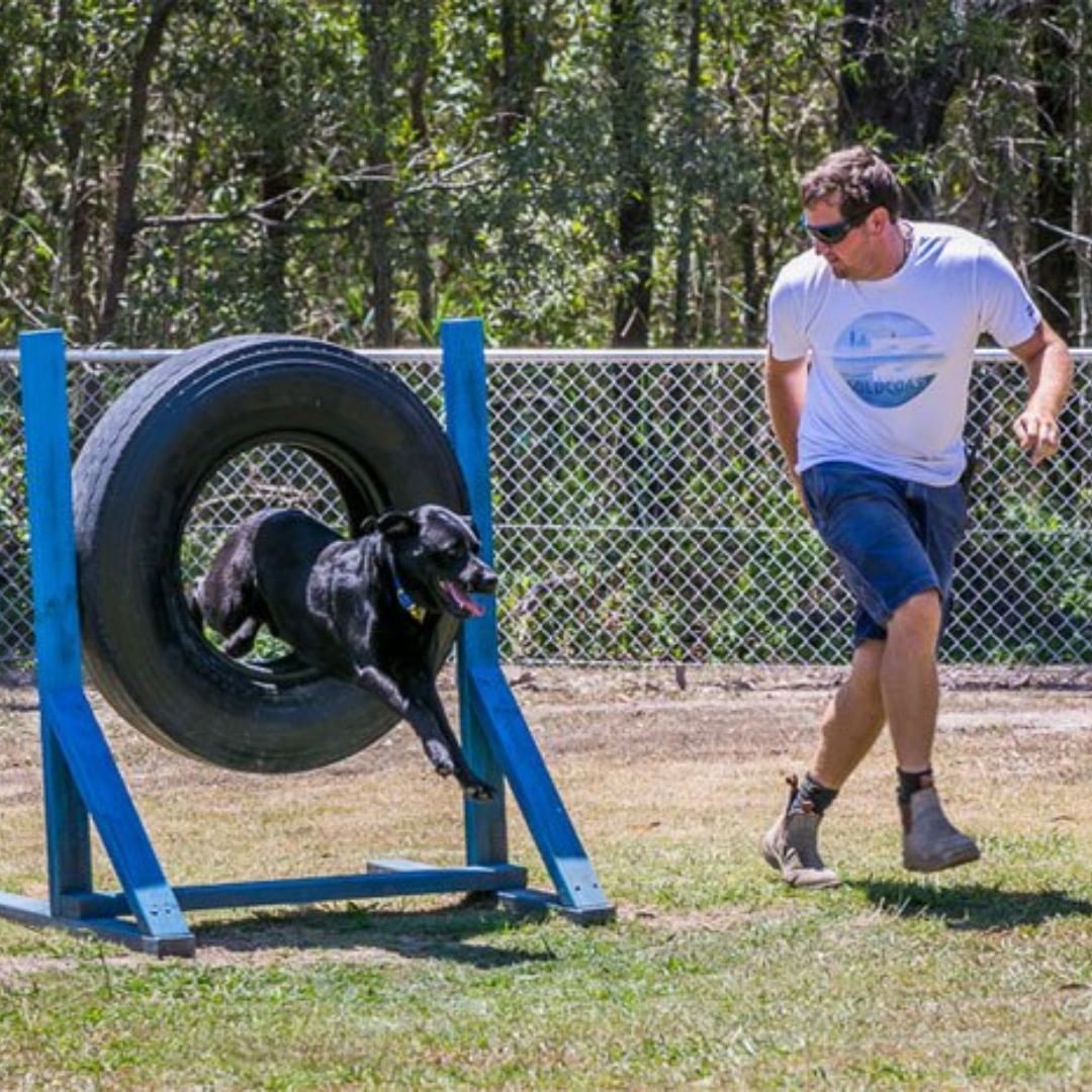 Big4 Gold Coast Holiday Park | pet-friendly campgrounds near the Gold Coast Big4 Gold Coast Holiday Park | pet-friendly campgrounds near the Gold Coast