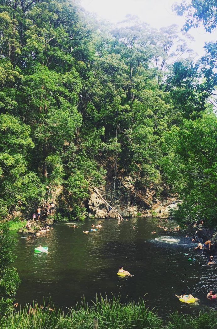 Currumbin Rock Pools and Cougal Cascades - Currumbin | family friendly waterfalls near Brisbane Currumbin Rock Pools and Cougal Cascades - Currumbin | family friendly waterfalls near Brisbane