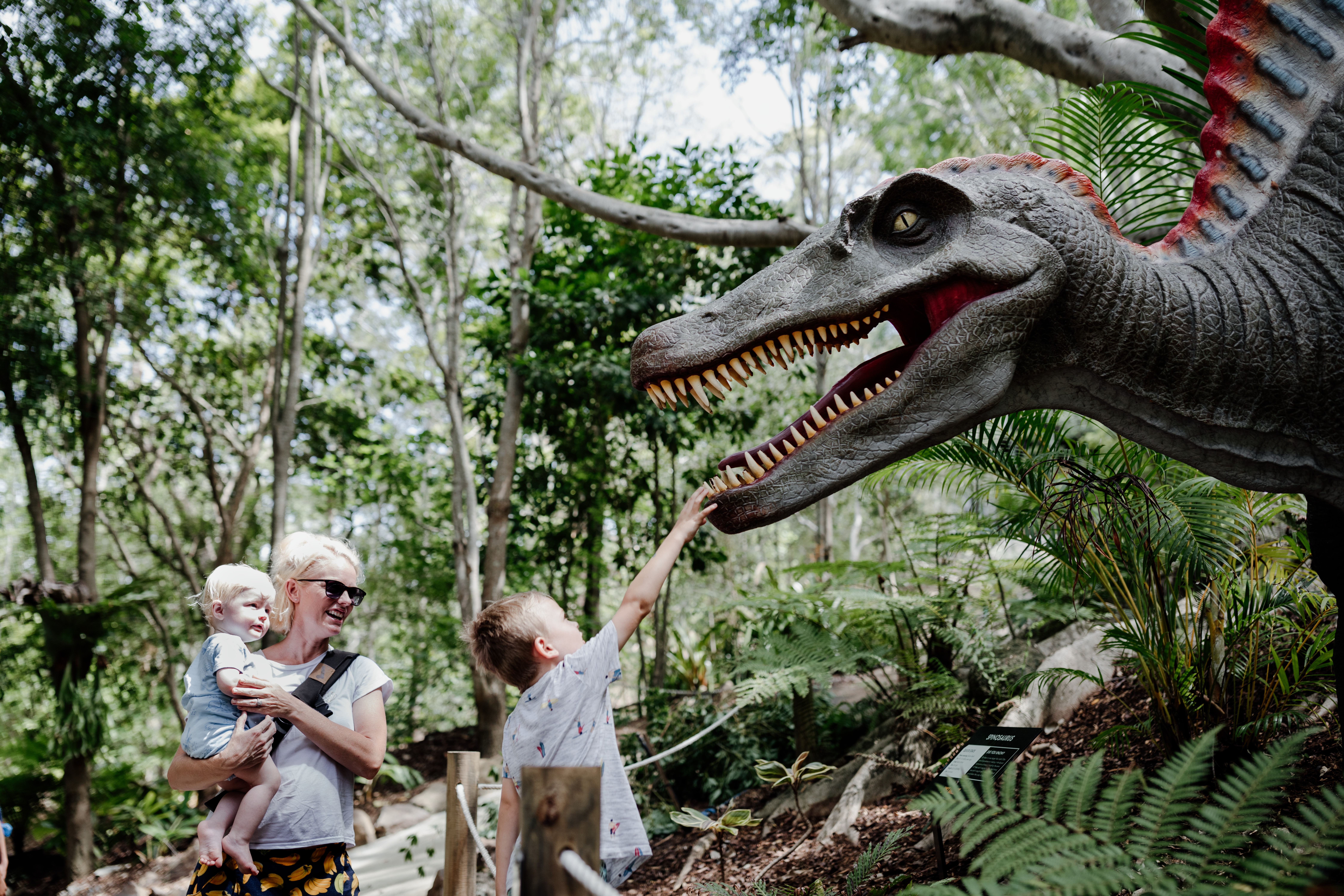 Discovering dinosaurs in Lost Valley Discovering dinosaurs in Lost Valley