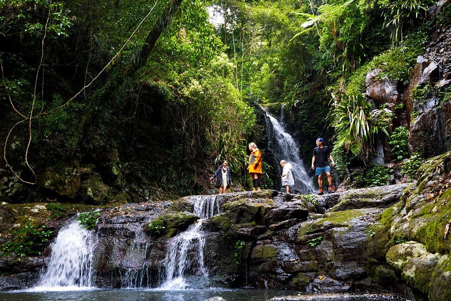 Elabana Falls Lamington National Park | Gold Coast with kids Elabana Falls Lamington National Park | Gold Coast with kids