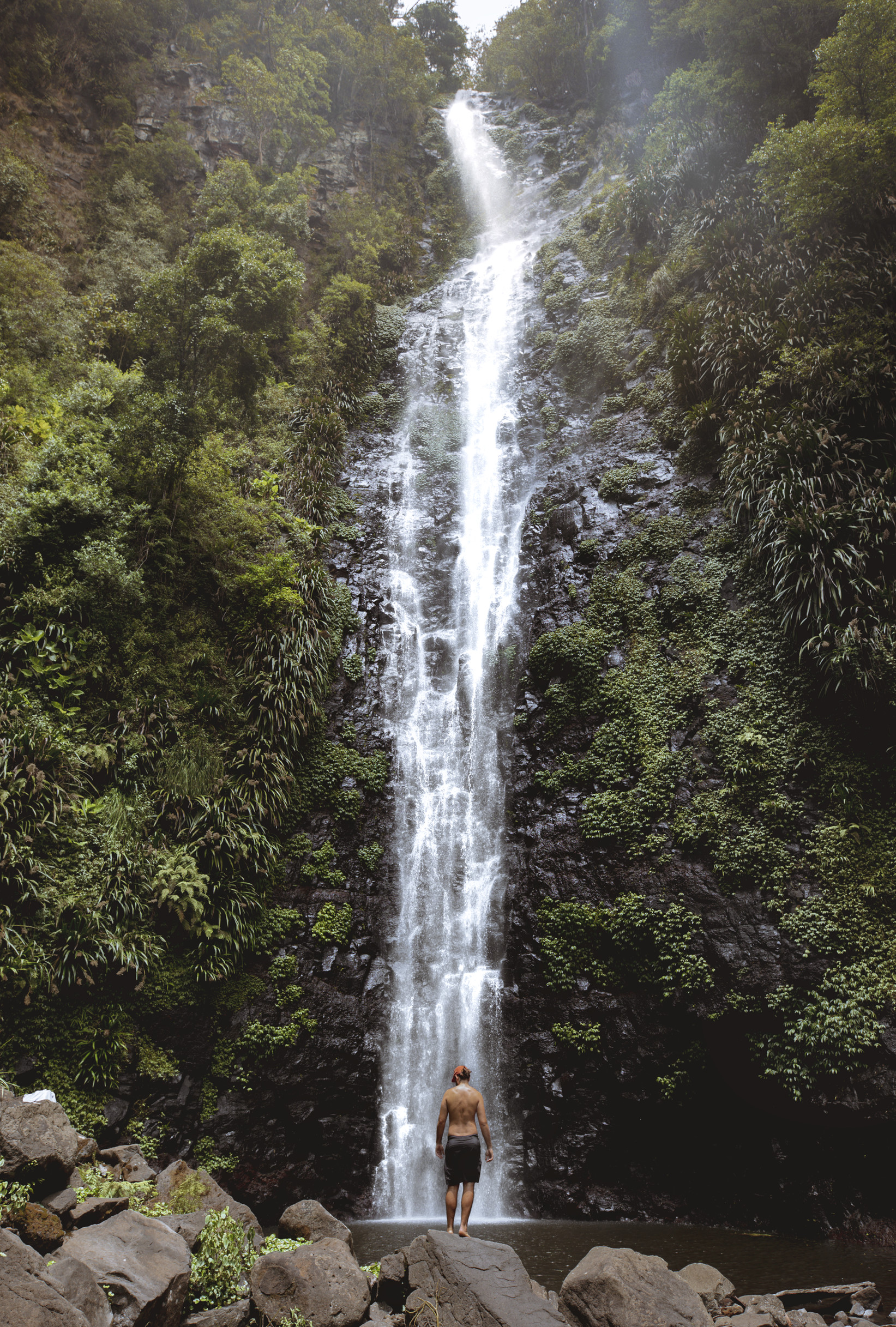 골드코스트의 숨겨진 명소 | 퀸즐랜드주, image size:1643x2434