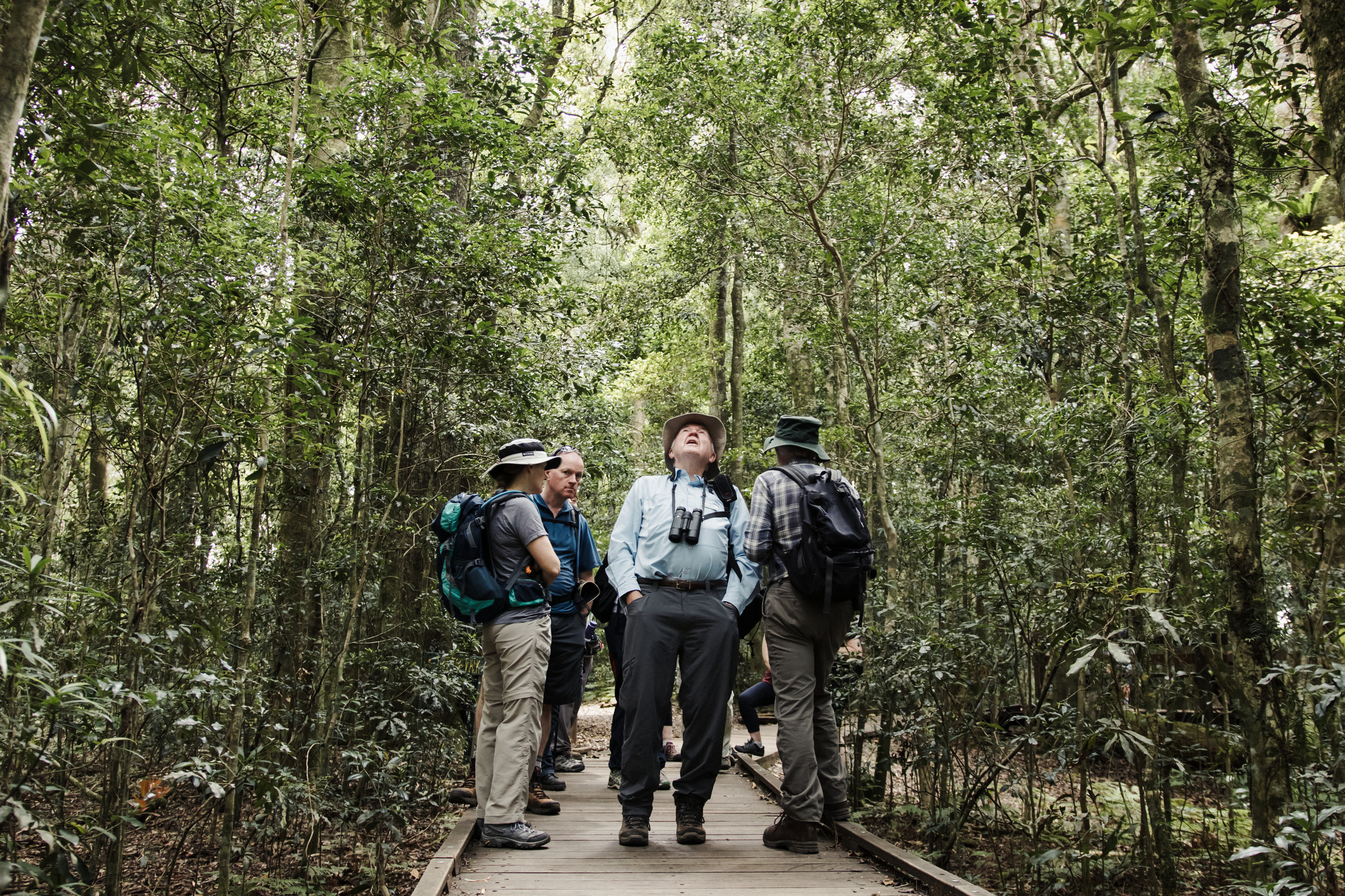 Hikers walking along a wooden boardwalk in the forest