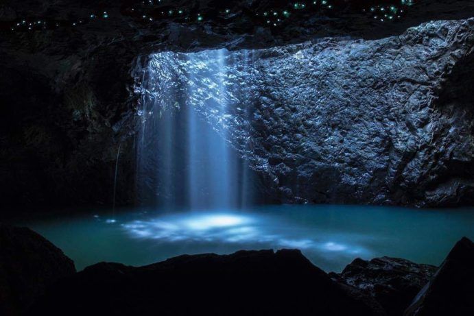 Glow Worm Caves Springbrook | Gondwana Rainforest