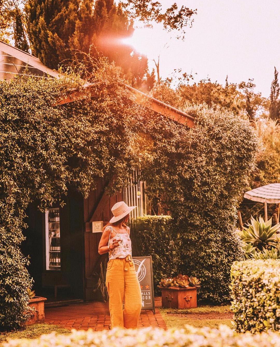 Witches Falls Winery | things to do Gold Coast hinterland Witches Falls Winery | things to do Gold Coast hinterland