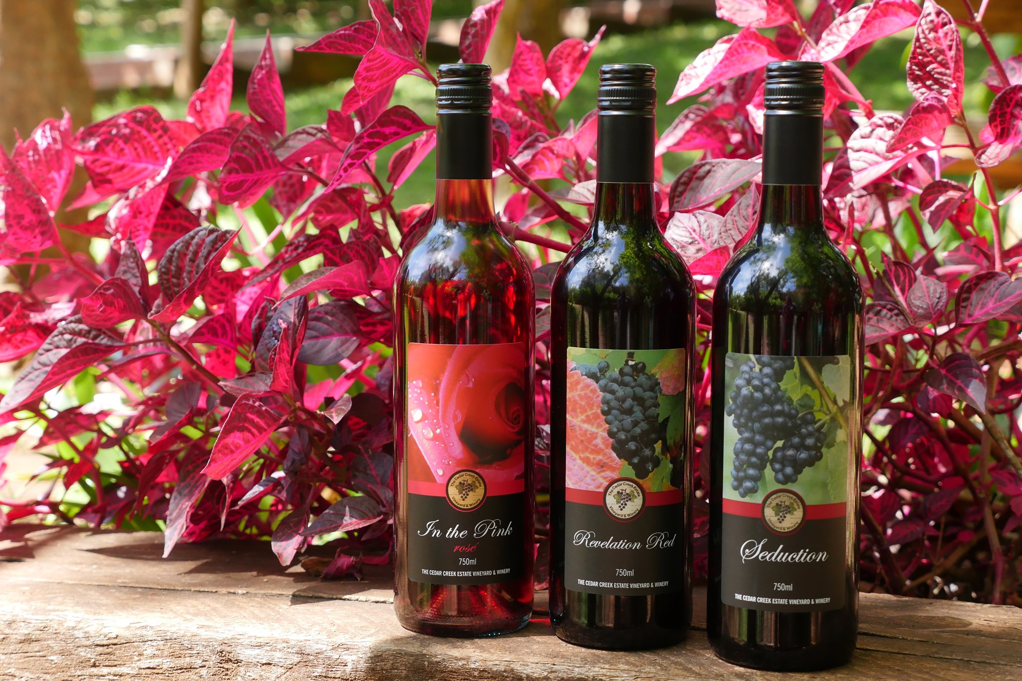 Wine bottles from Cedar Creek Estate Vineyard and Winery