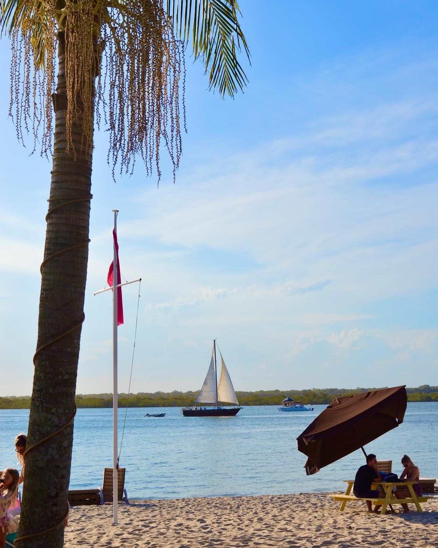 골드코스트의 숨겨진 명소 | 퀸즐랜드주, image size:1440x1800