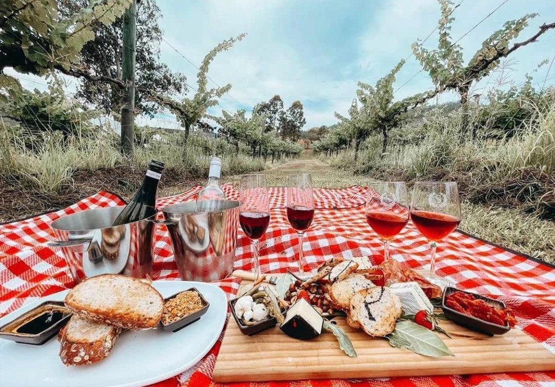 Picnic blanket set up with cheese board and wine glasses overlooking vineyard at Sarabah Estate Winery 