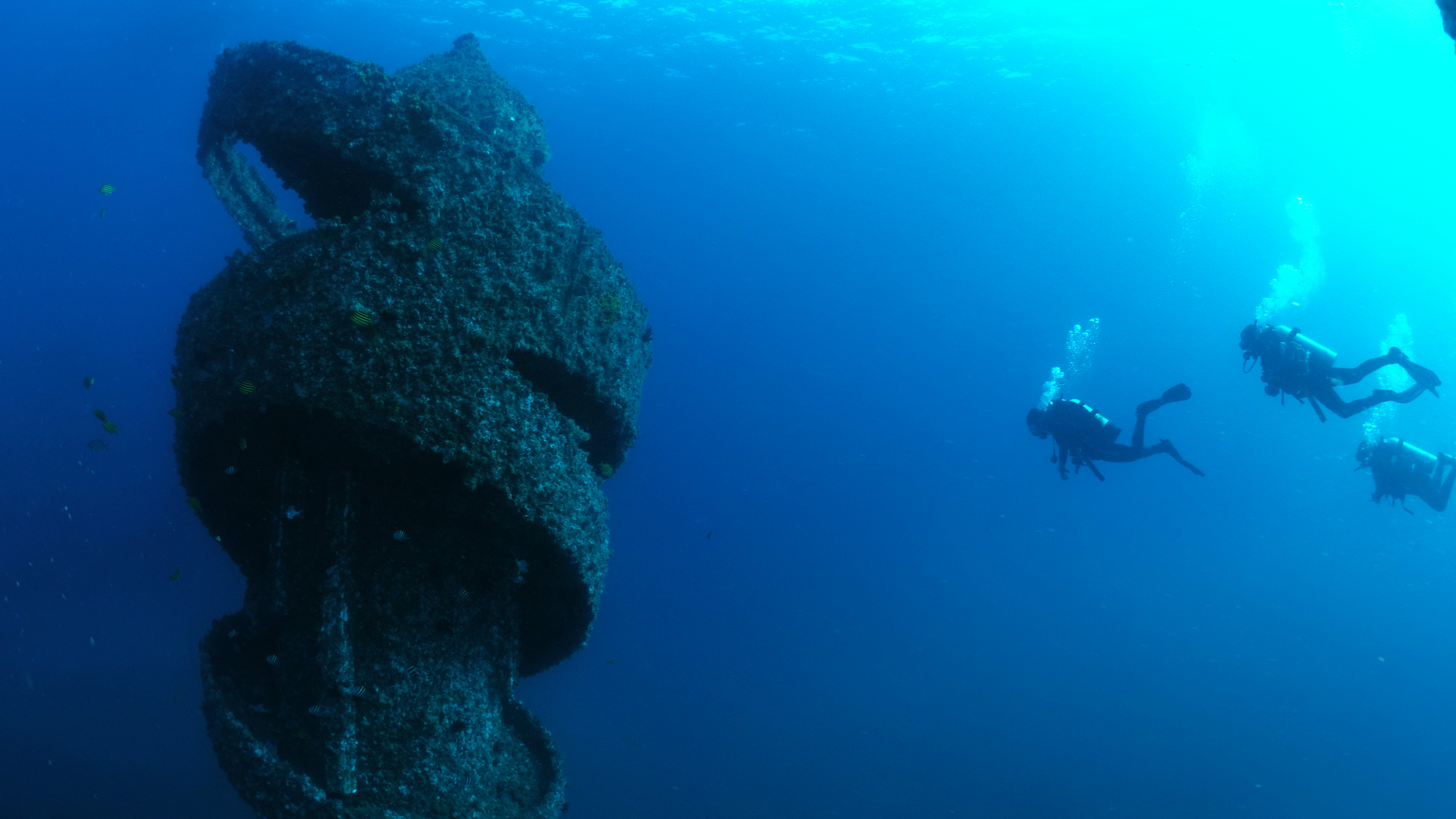 Wonder Reef