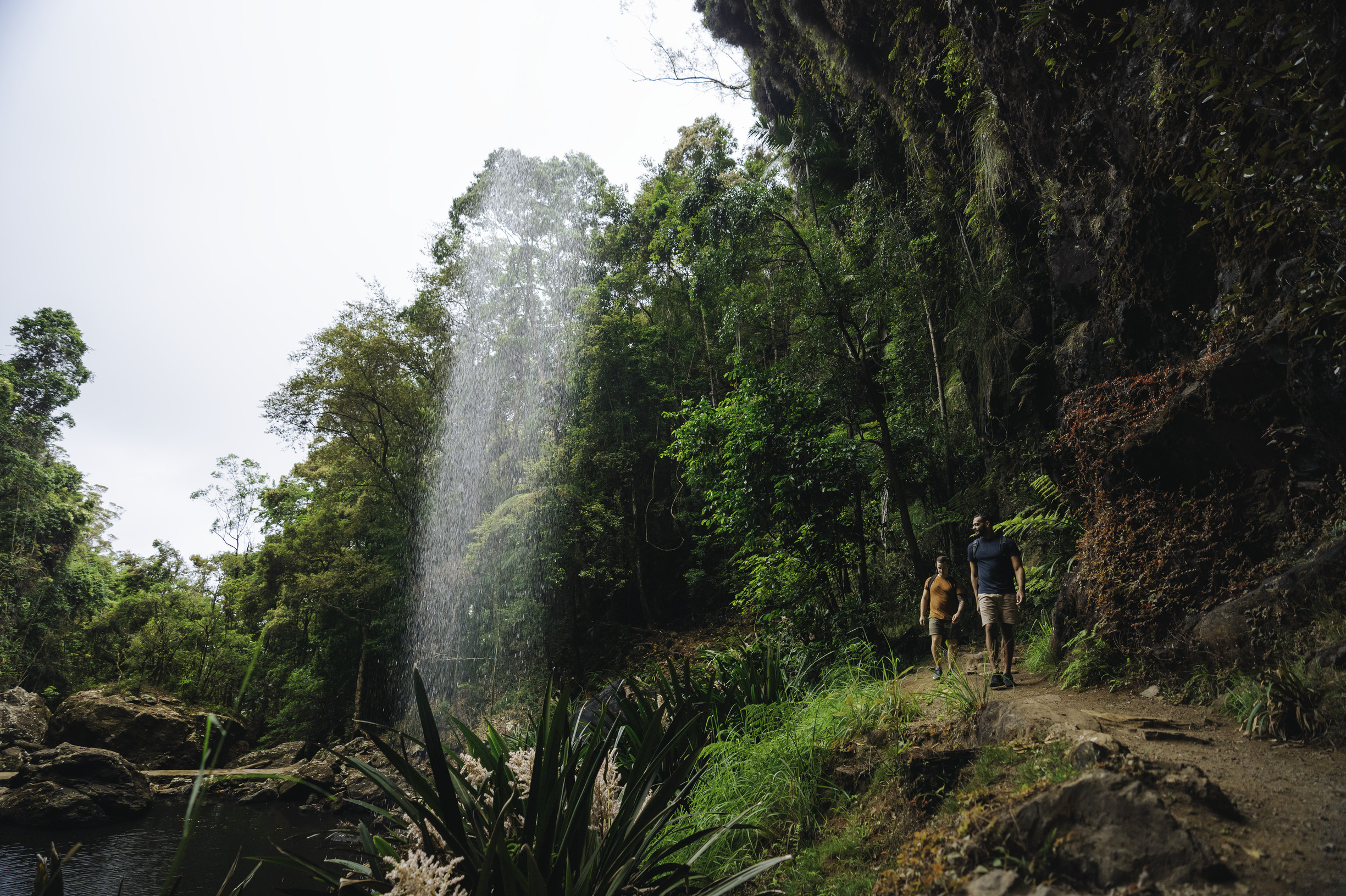 Hiking under Twin Falls Warrie Circuit Springbrook National Park