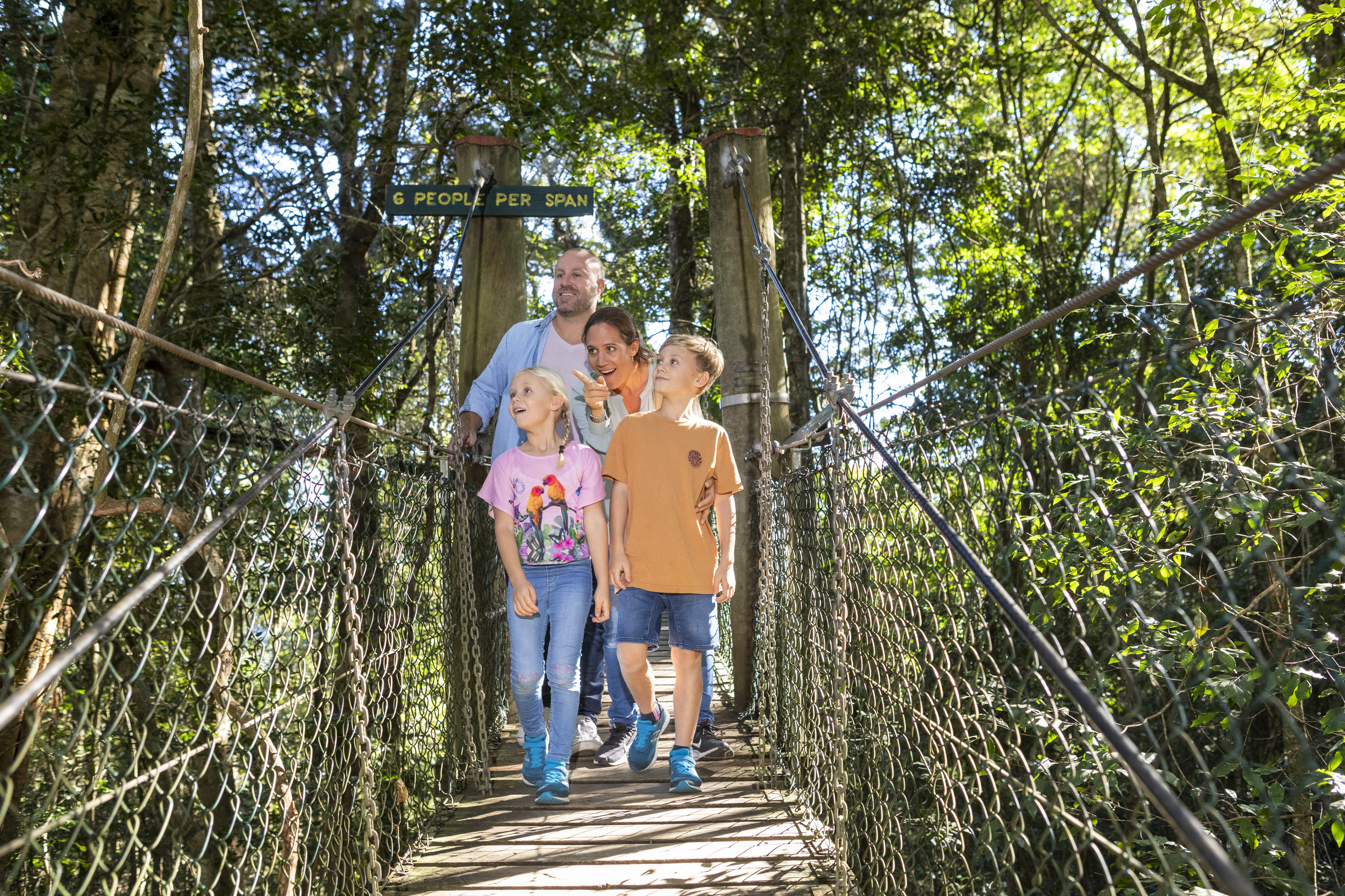 Family walking on the bridge at Tree Top Walk, O'Reilly's Rainforest Retreat