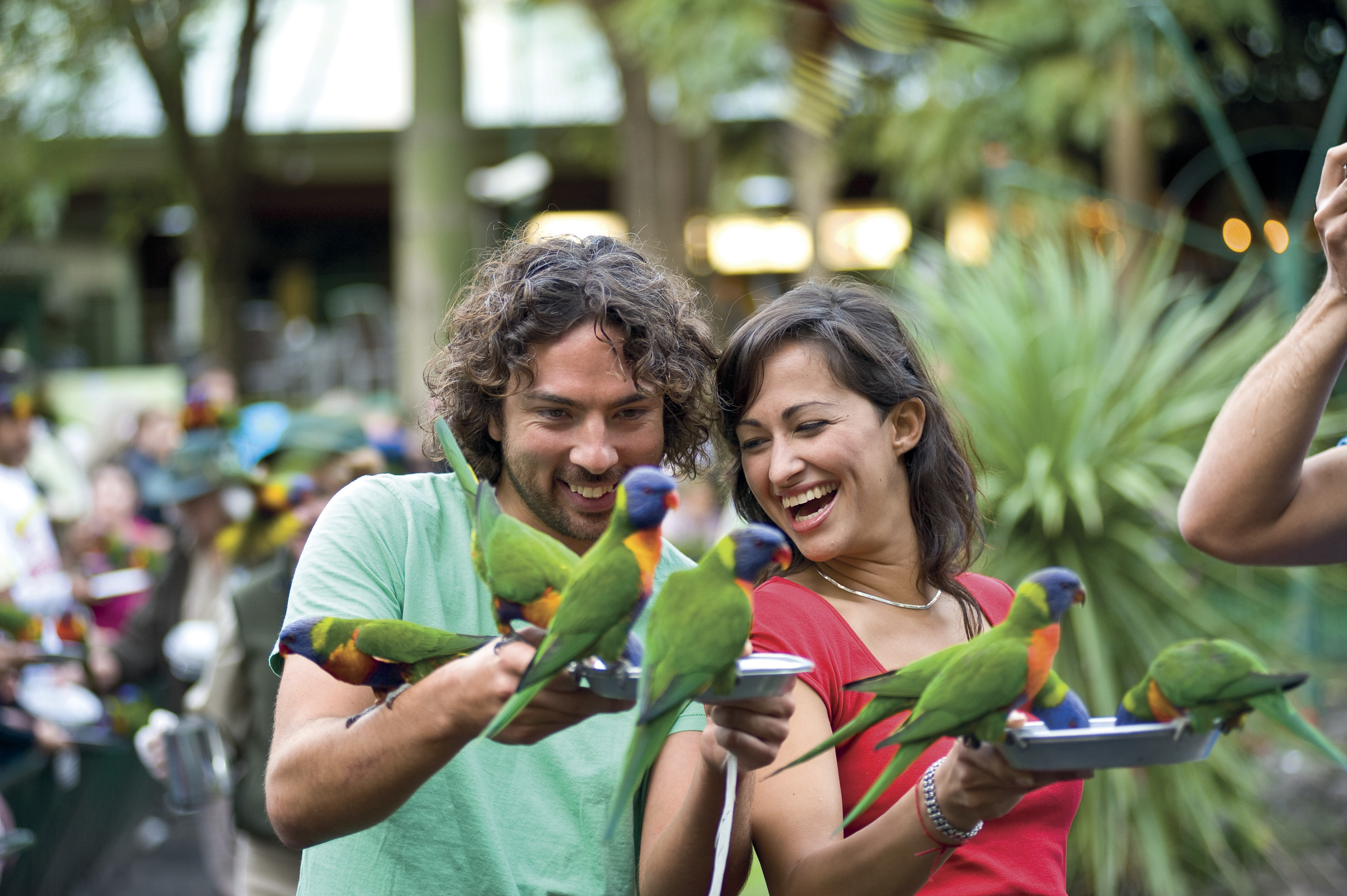 A couple feeling the birds at Currumbin Wildlife Sanctuary